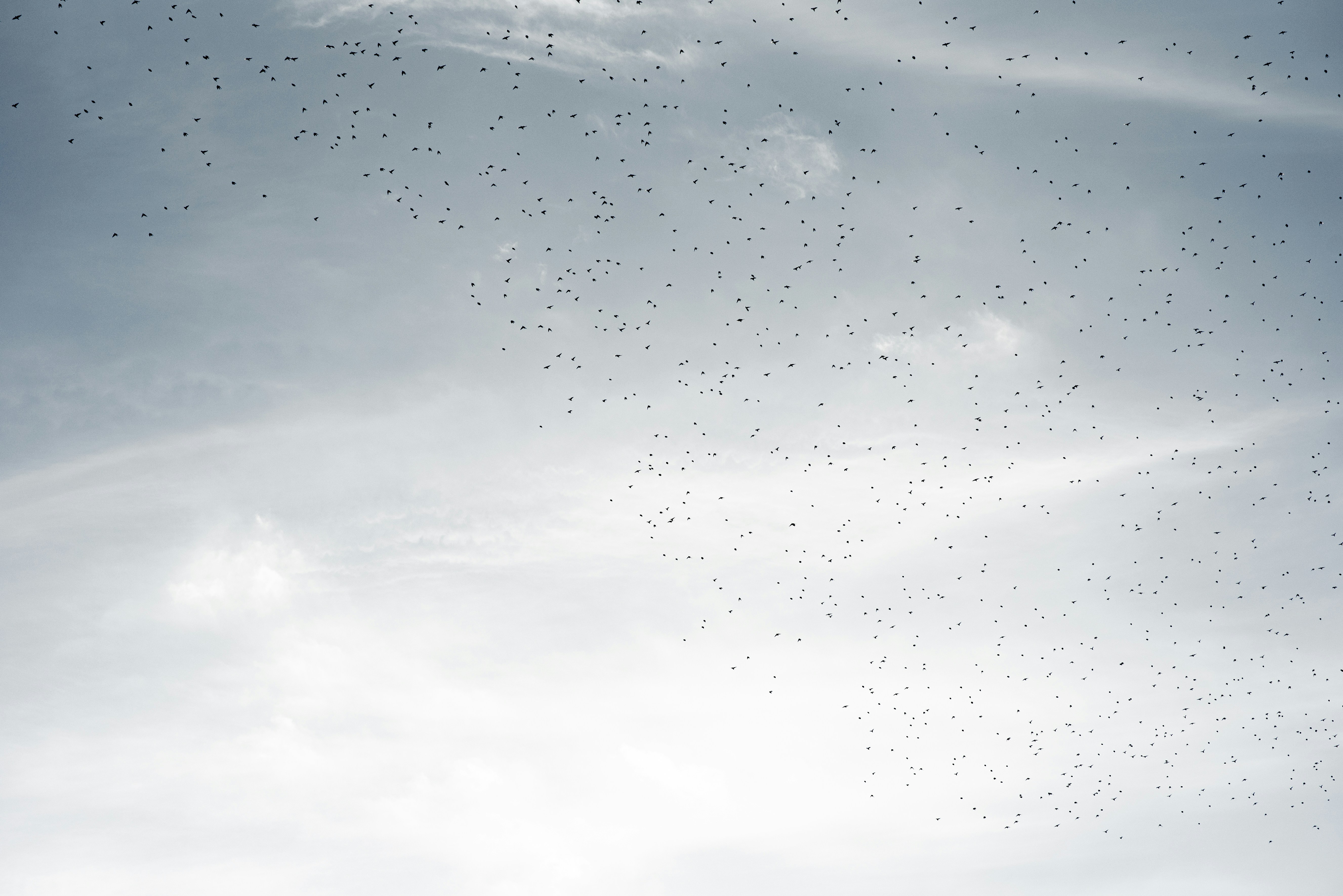 Photo by lauraadaiphoto