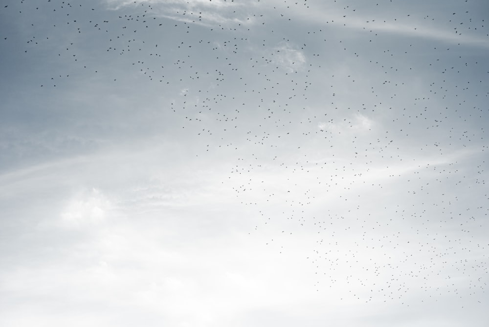 water droplets on clear glass