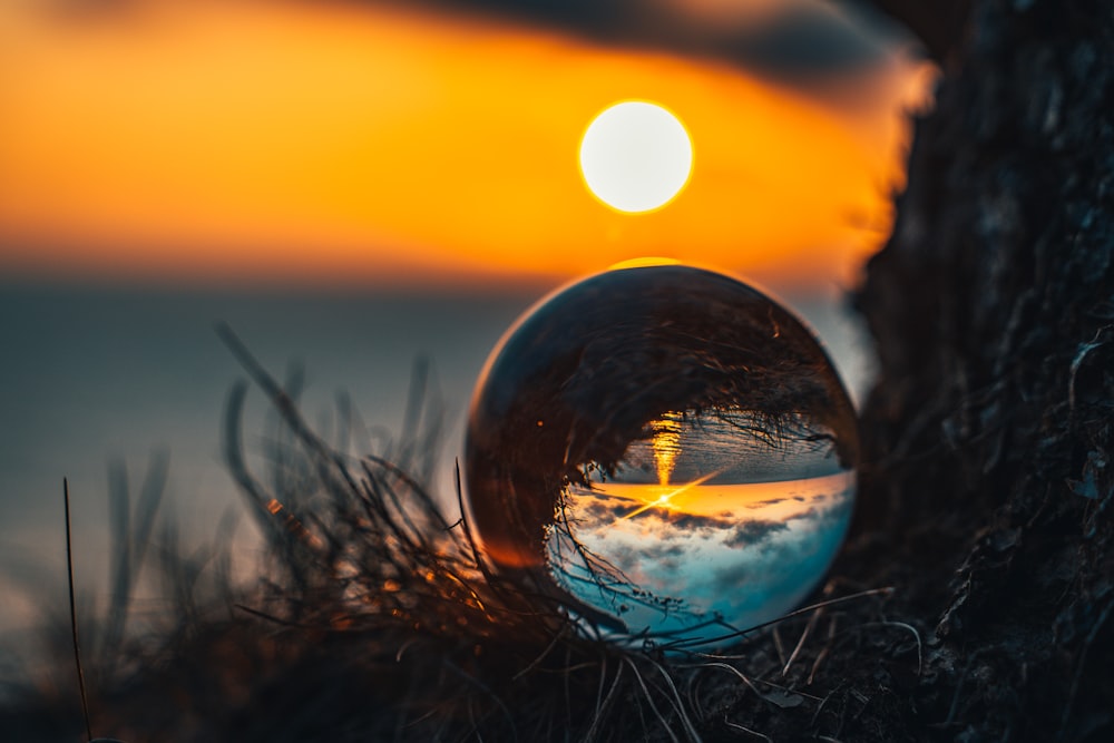 clear glass ball on green grass during sunset