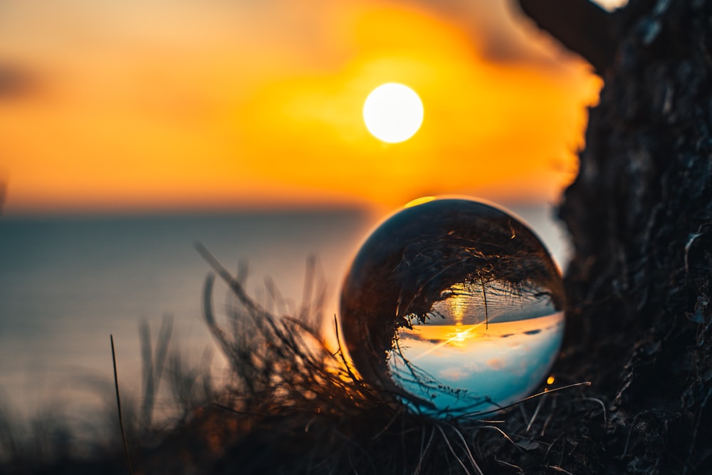 clear glass ball on green grass during sunset