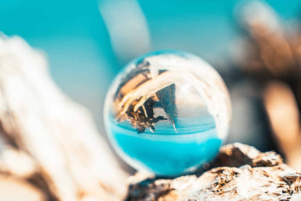 clear glass ball on brown rock