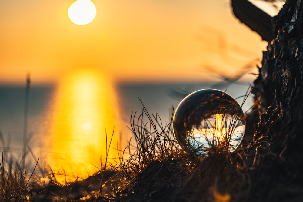 clear glass ball on brown grass during sunset