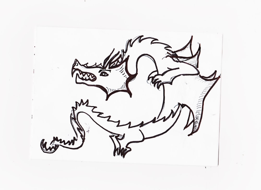 black and white dragon sketch