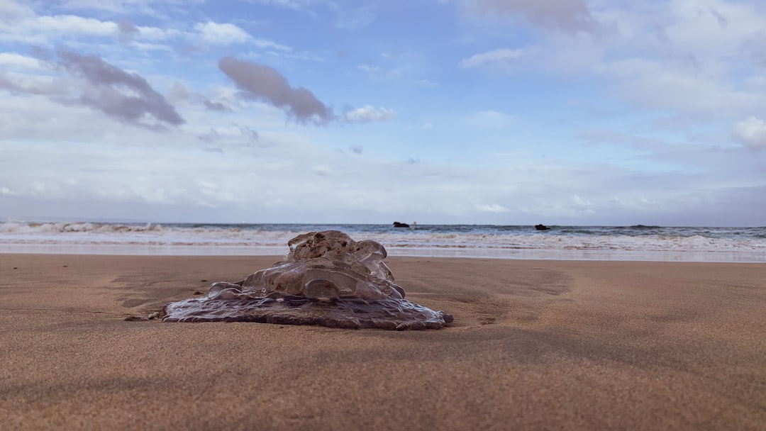 brown rock formation on brown sand near sea under blue and white cloudy sky during daytime