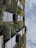 A vertical garden covers the facade of a building with lush greenery and various plant species arranged in a pattern alongside window panels. The sky is visible, featuring scattered clouds.