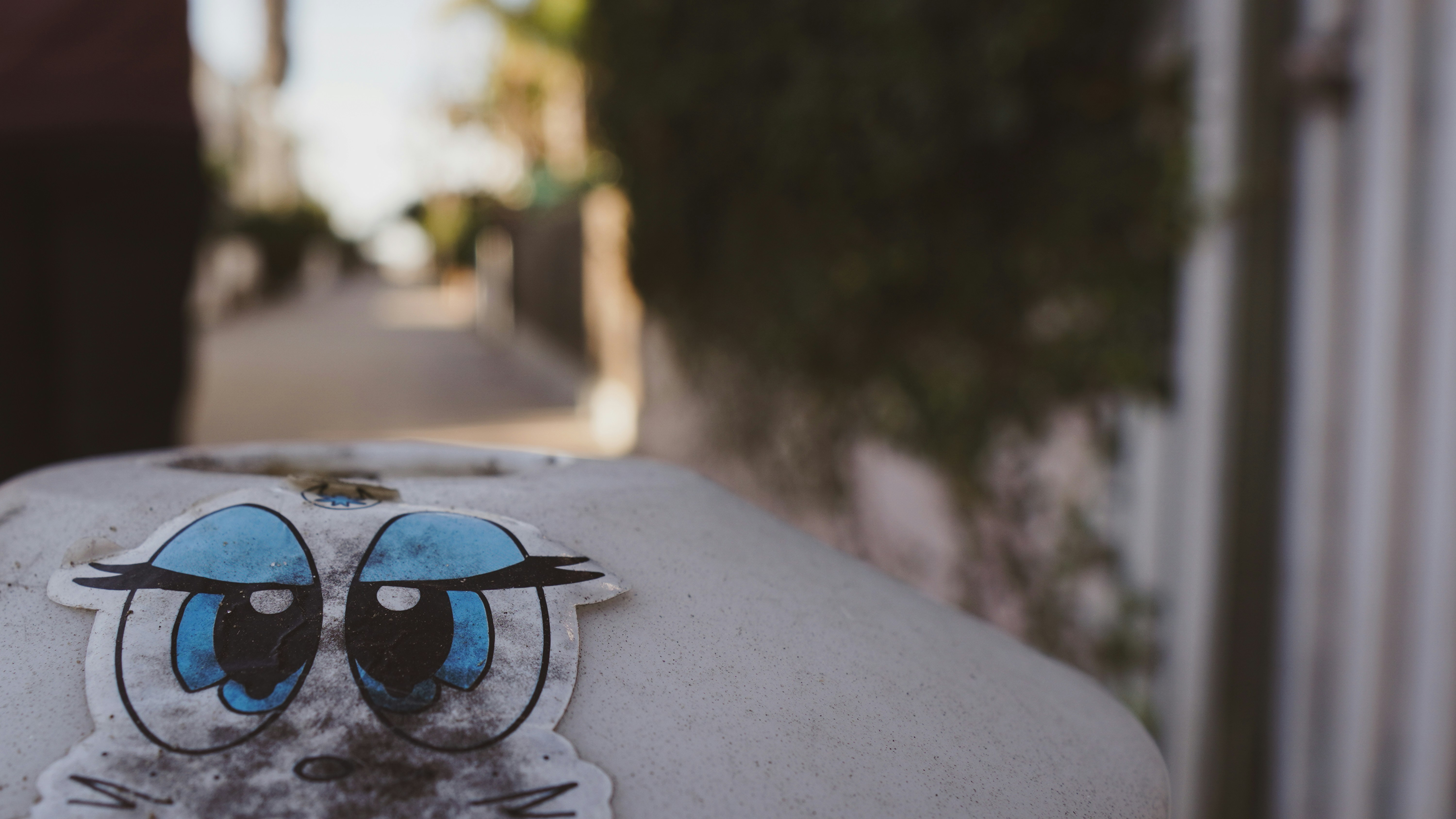 Adorable Cat Sticker