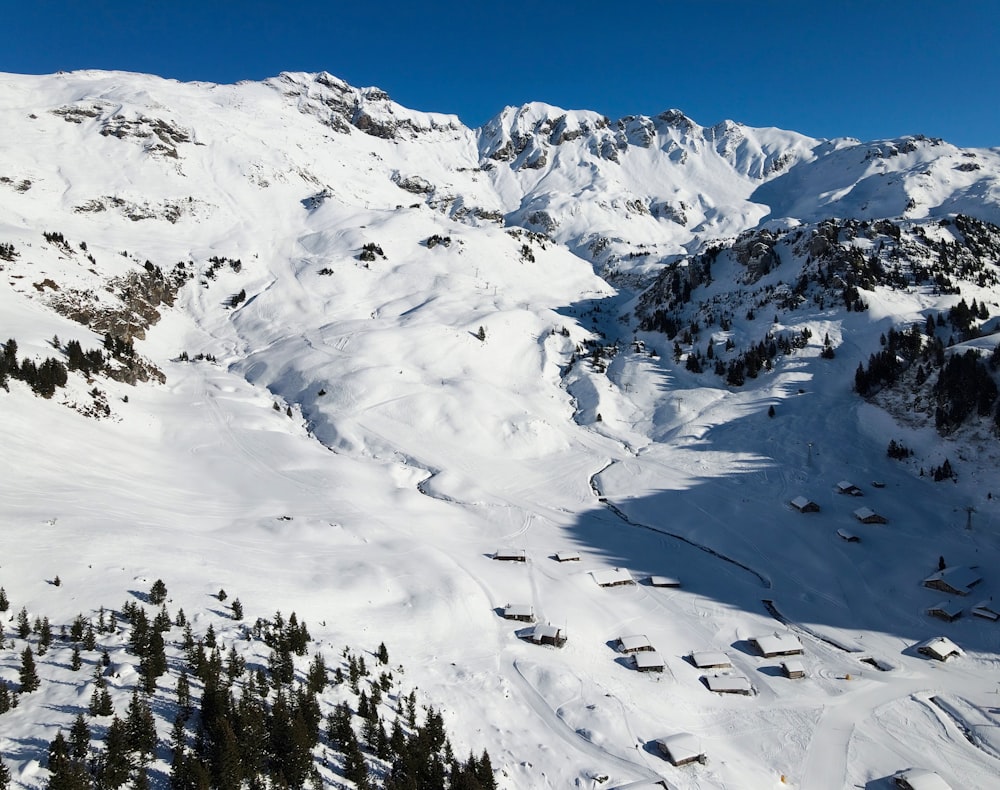 Grüne Kiefern auf schneebedeckten Bergen tagsüber