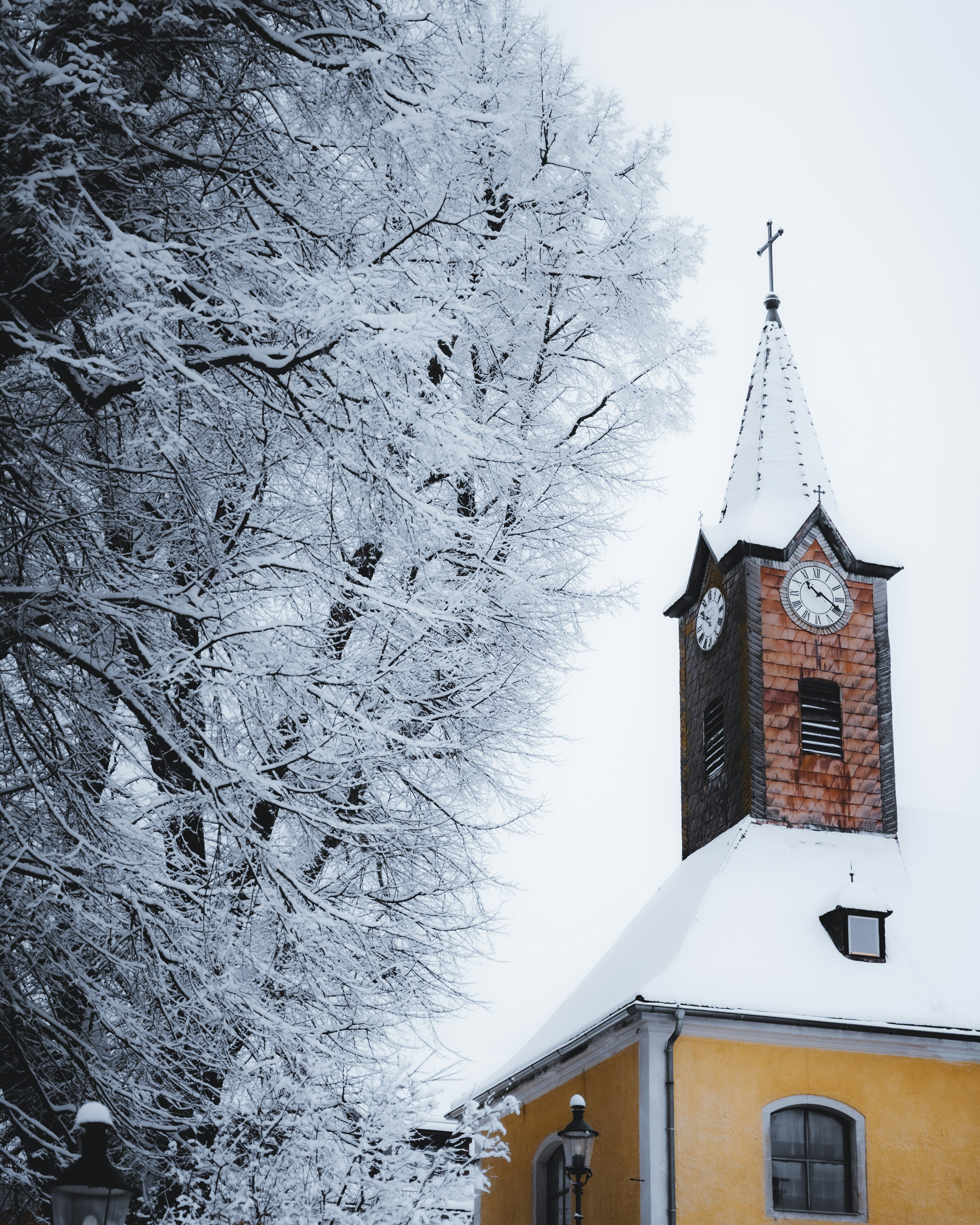 Photo by daniels_photofactory