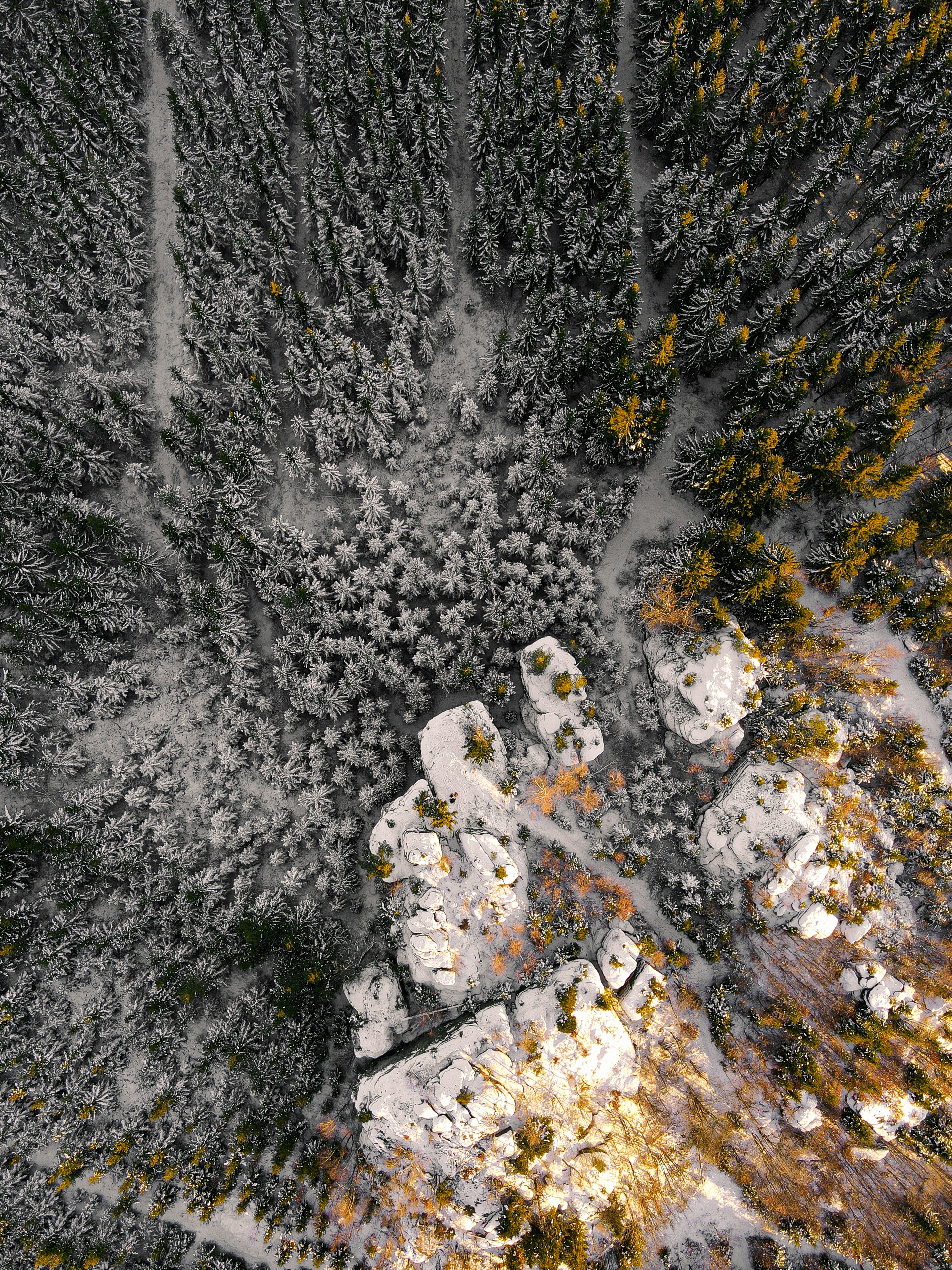 Photo by daniels_photofactory