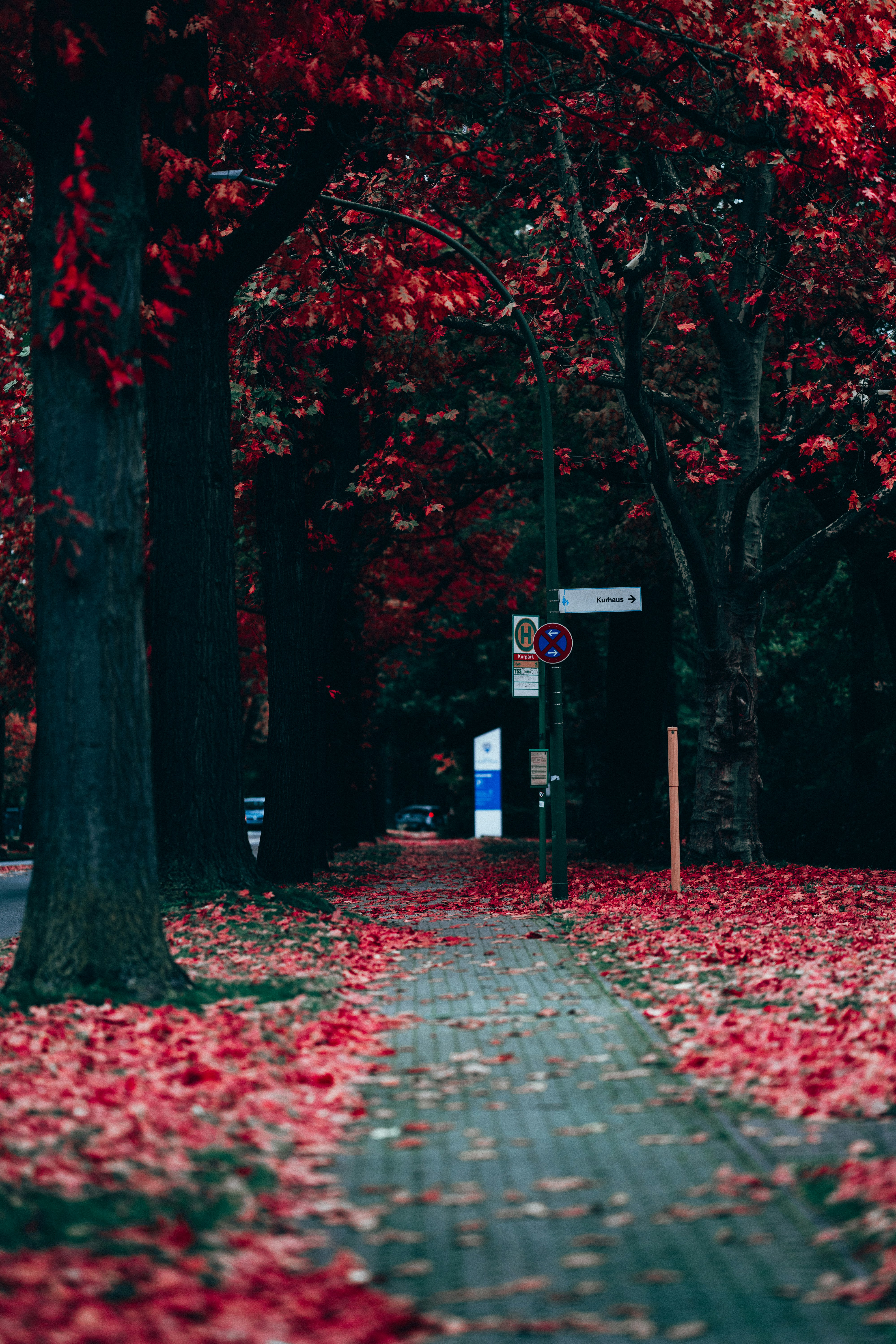 Photo by omarvellous14