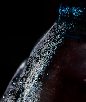 Close-up of a chilled jambucha kombucha bottle with tropical condensation beads glistening in warm sunlight.