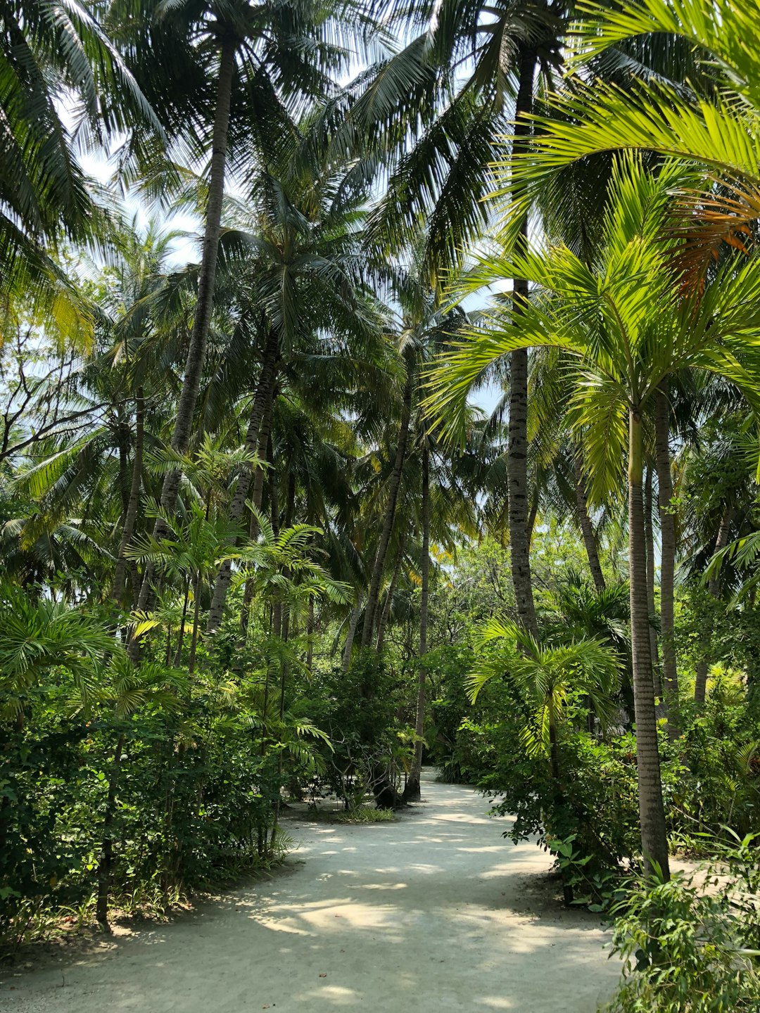 Natural landscape photo spot Maldives Thoddoo