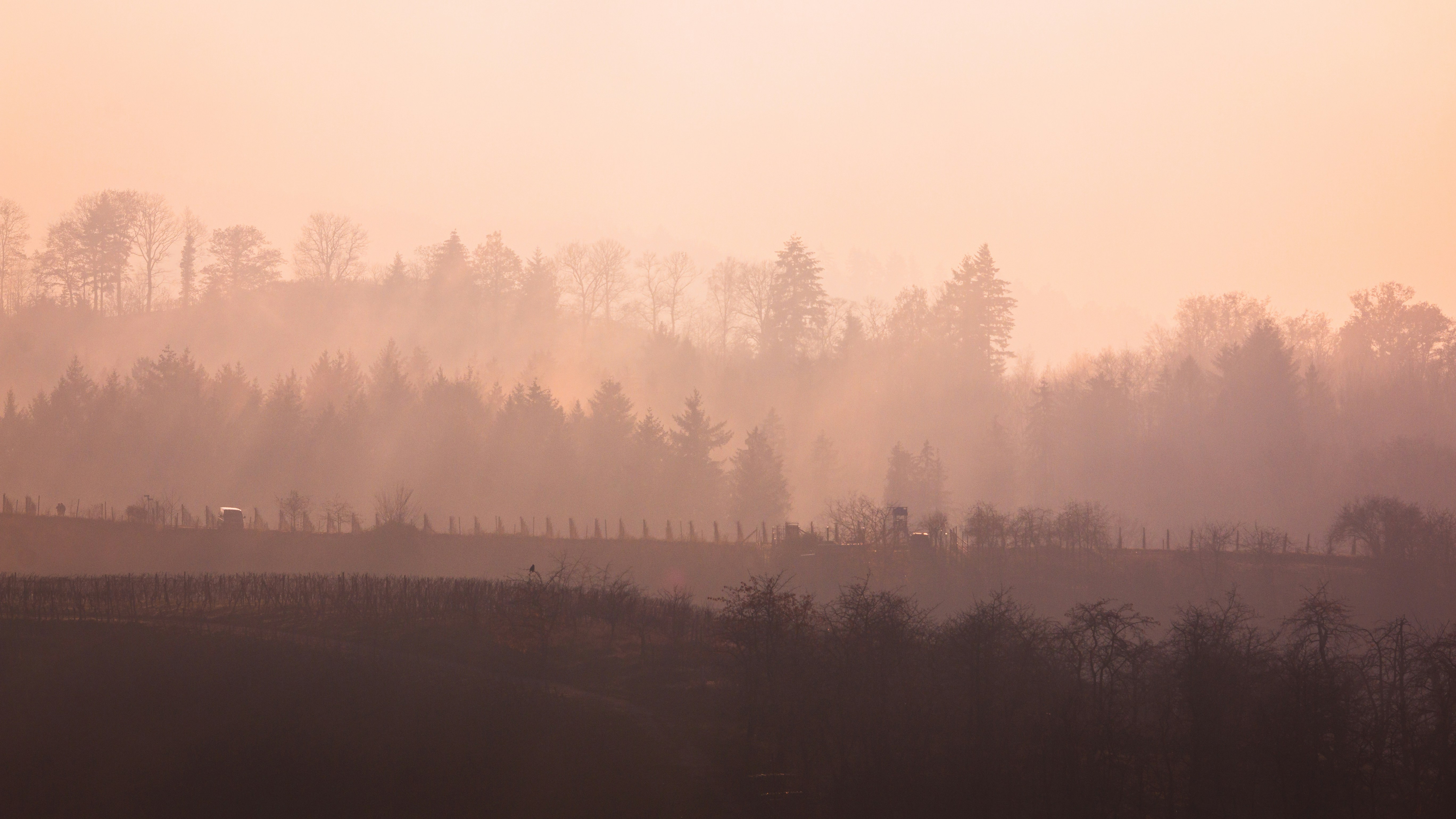 Photo by auroulien