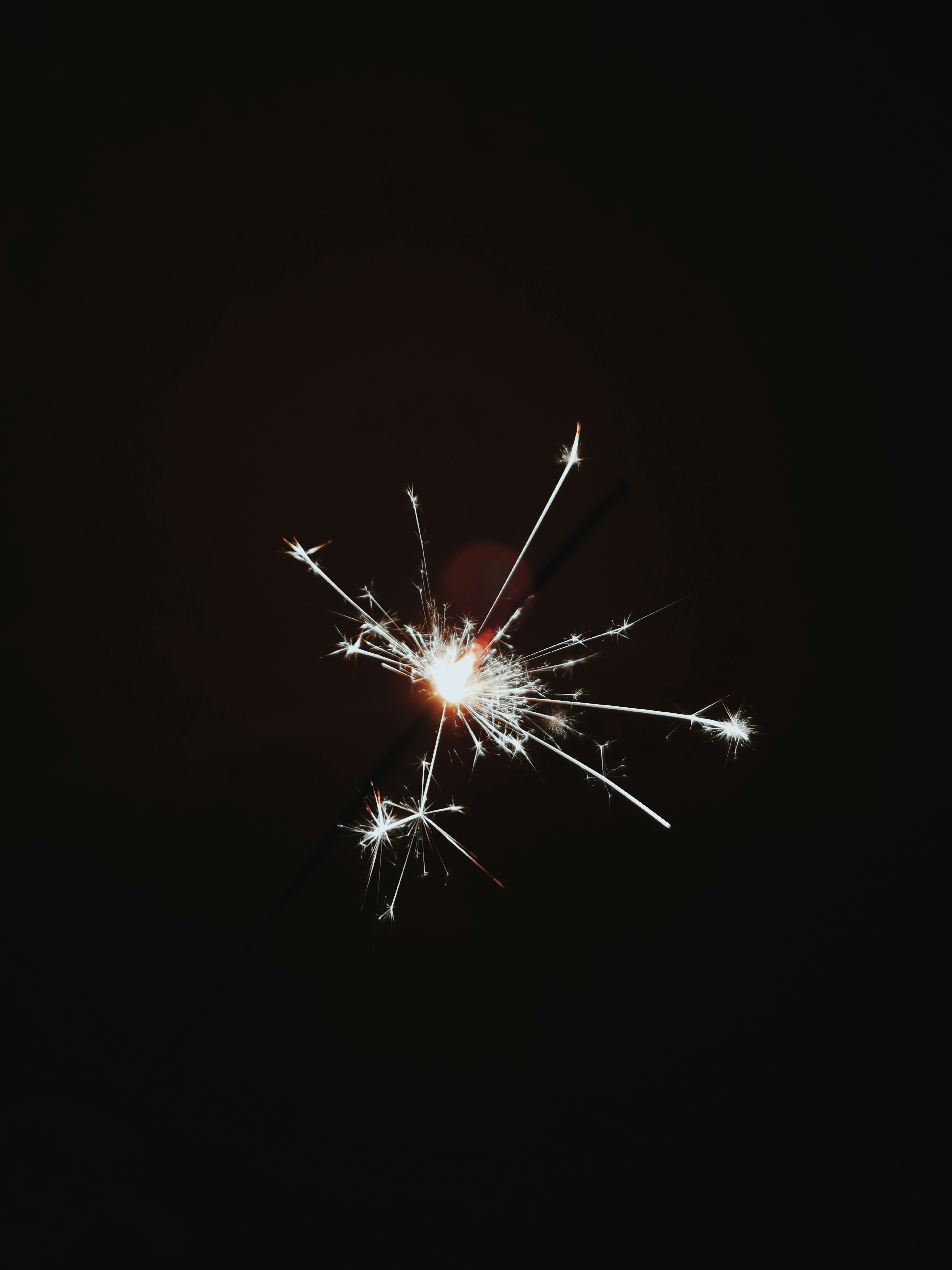 Photo by aleksandarkyng