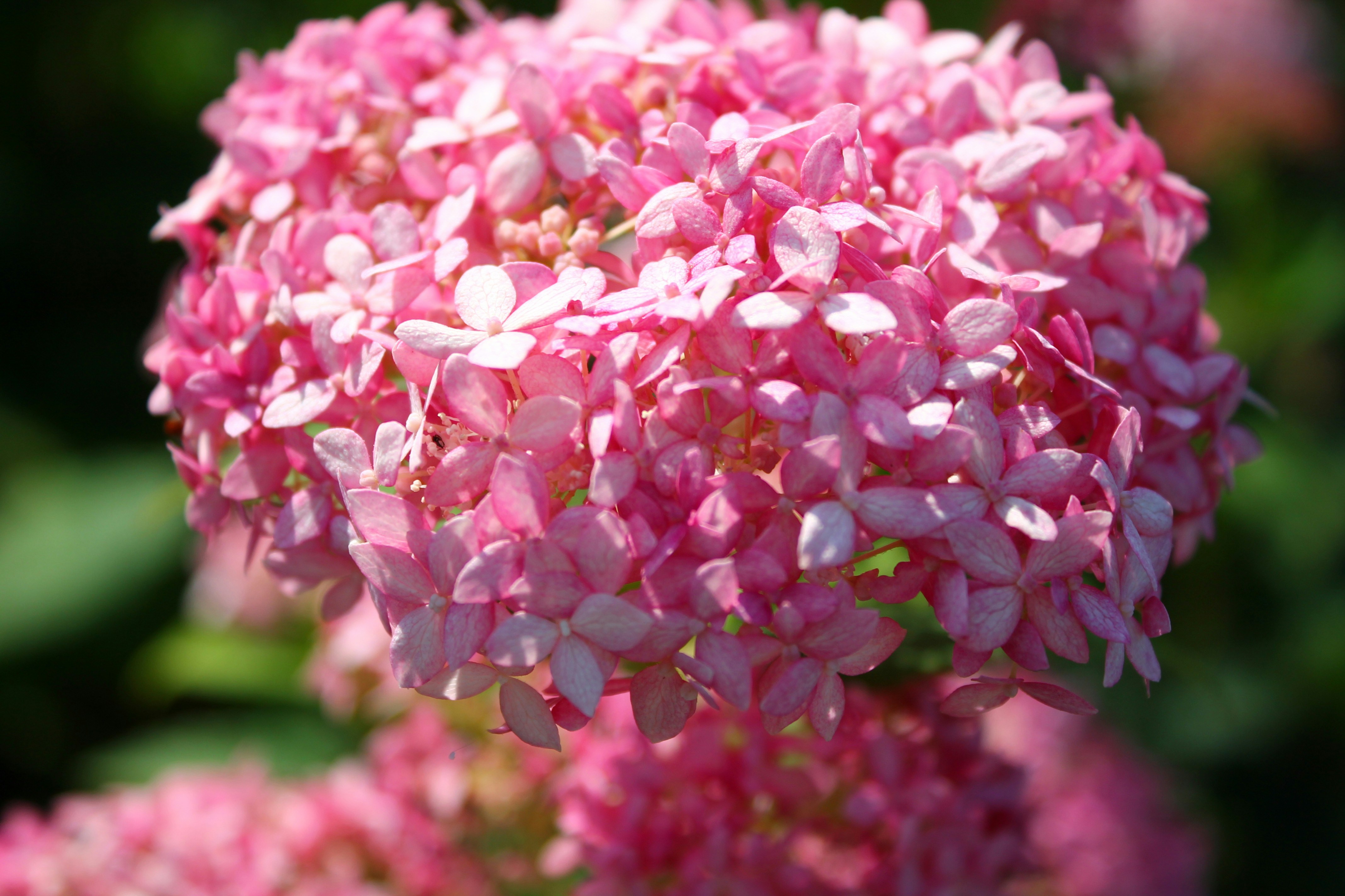 Photo by emmashychuck