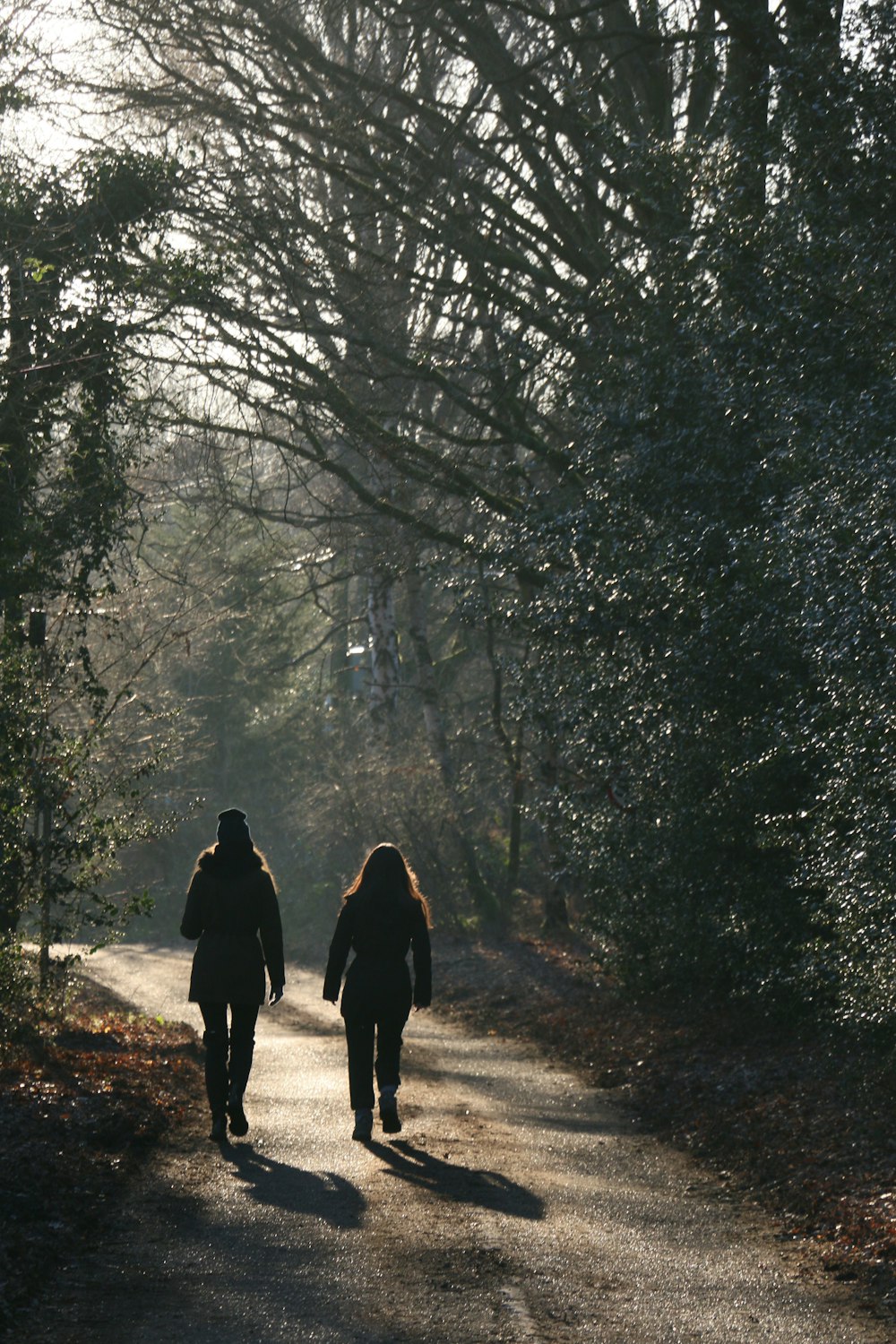 2 person walking on pathway between trees during daytime