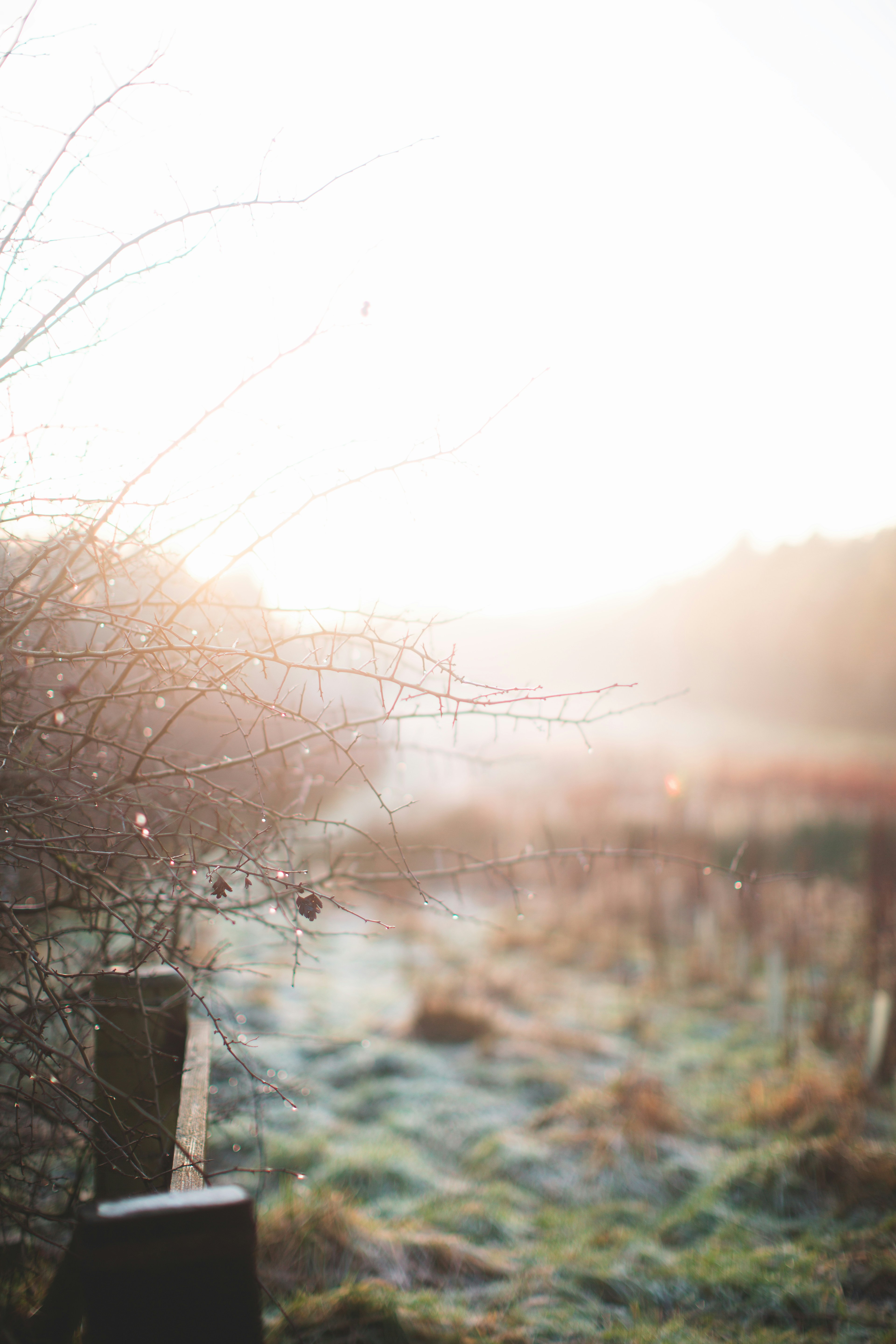 Photo by domheartley