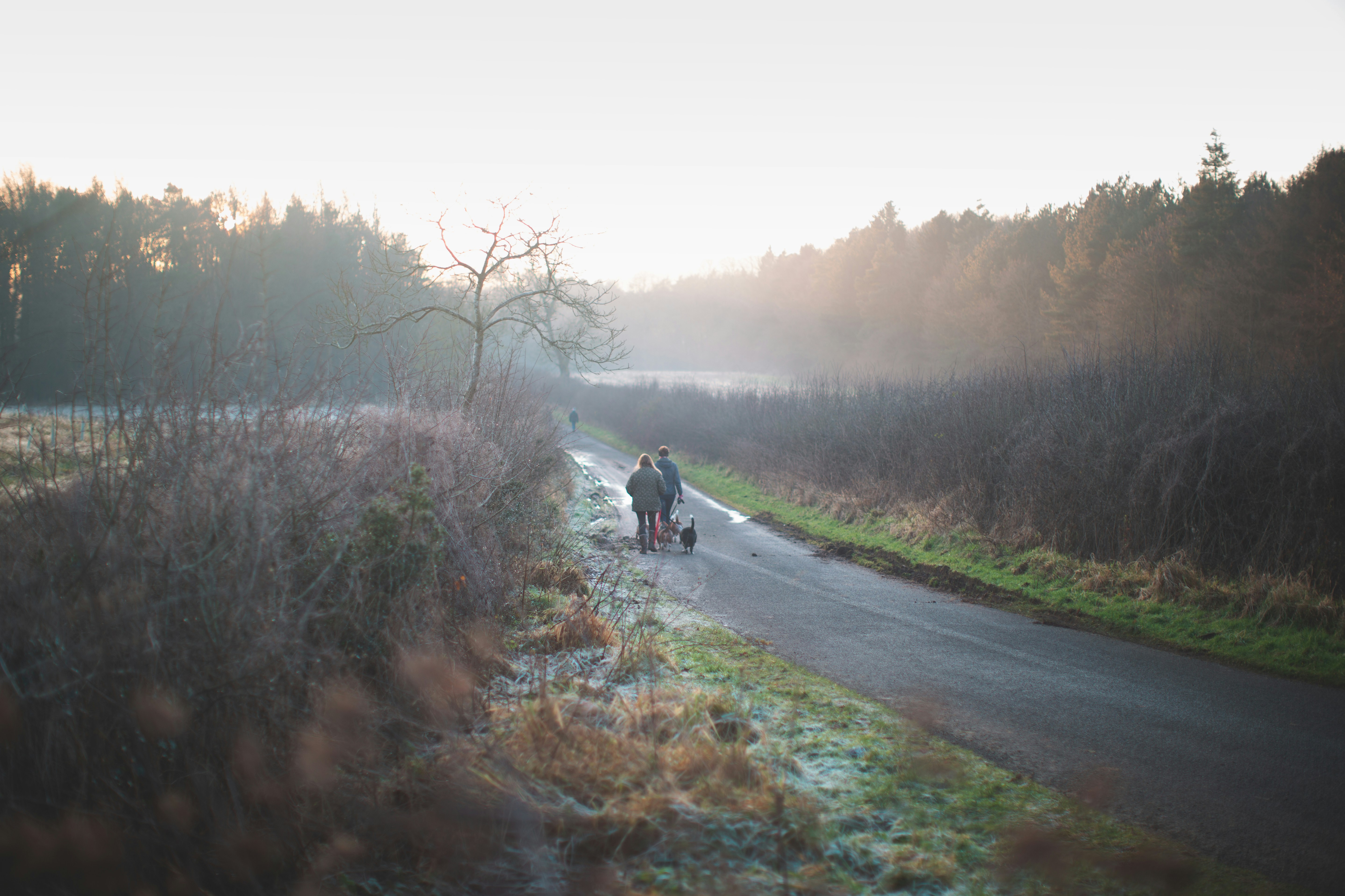 man in black jacket and black pants sitting on black wheelchair on gray asphalt road during