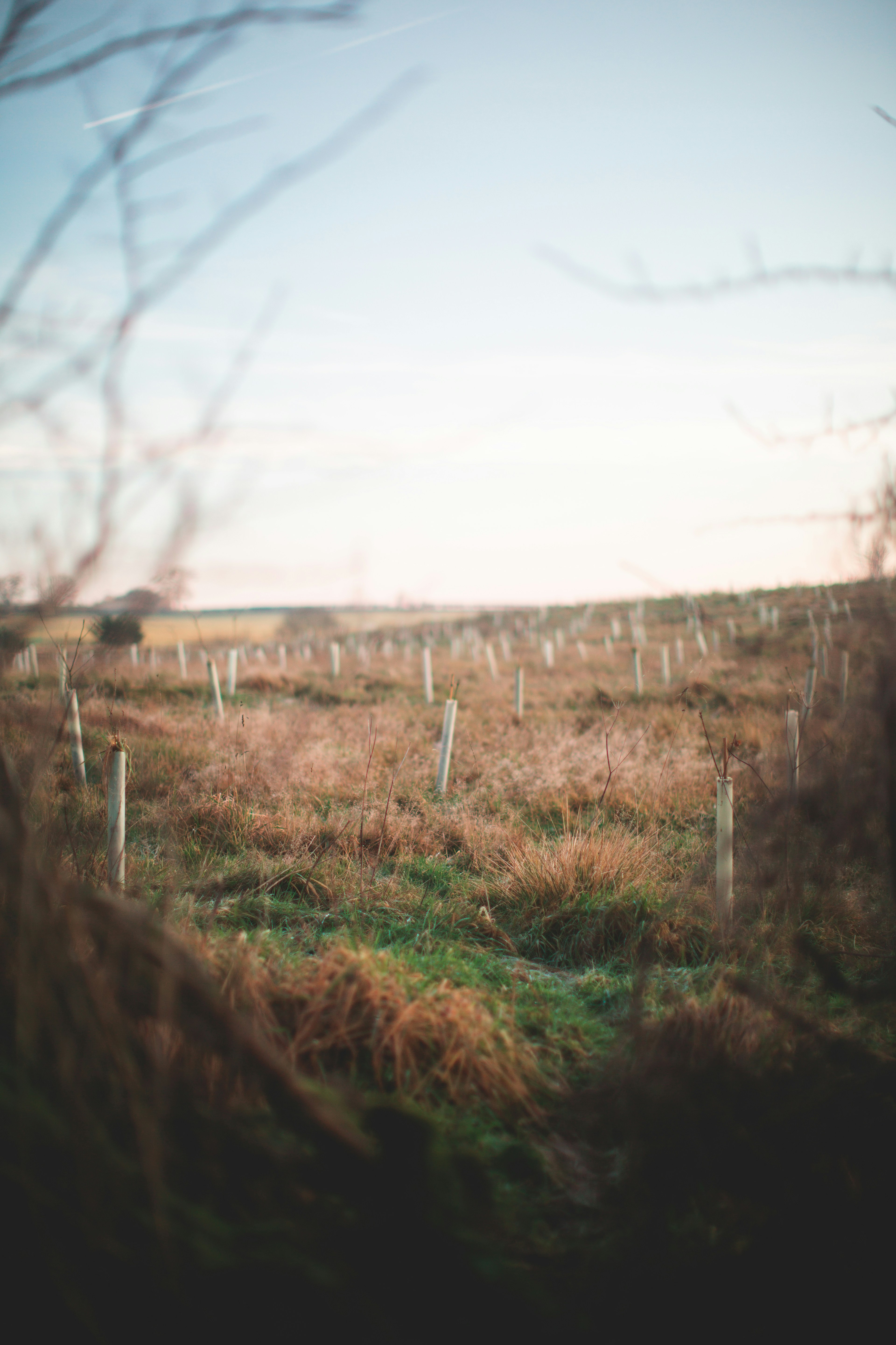 Photo by domheartley