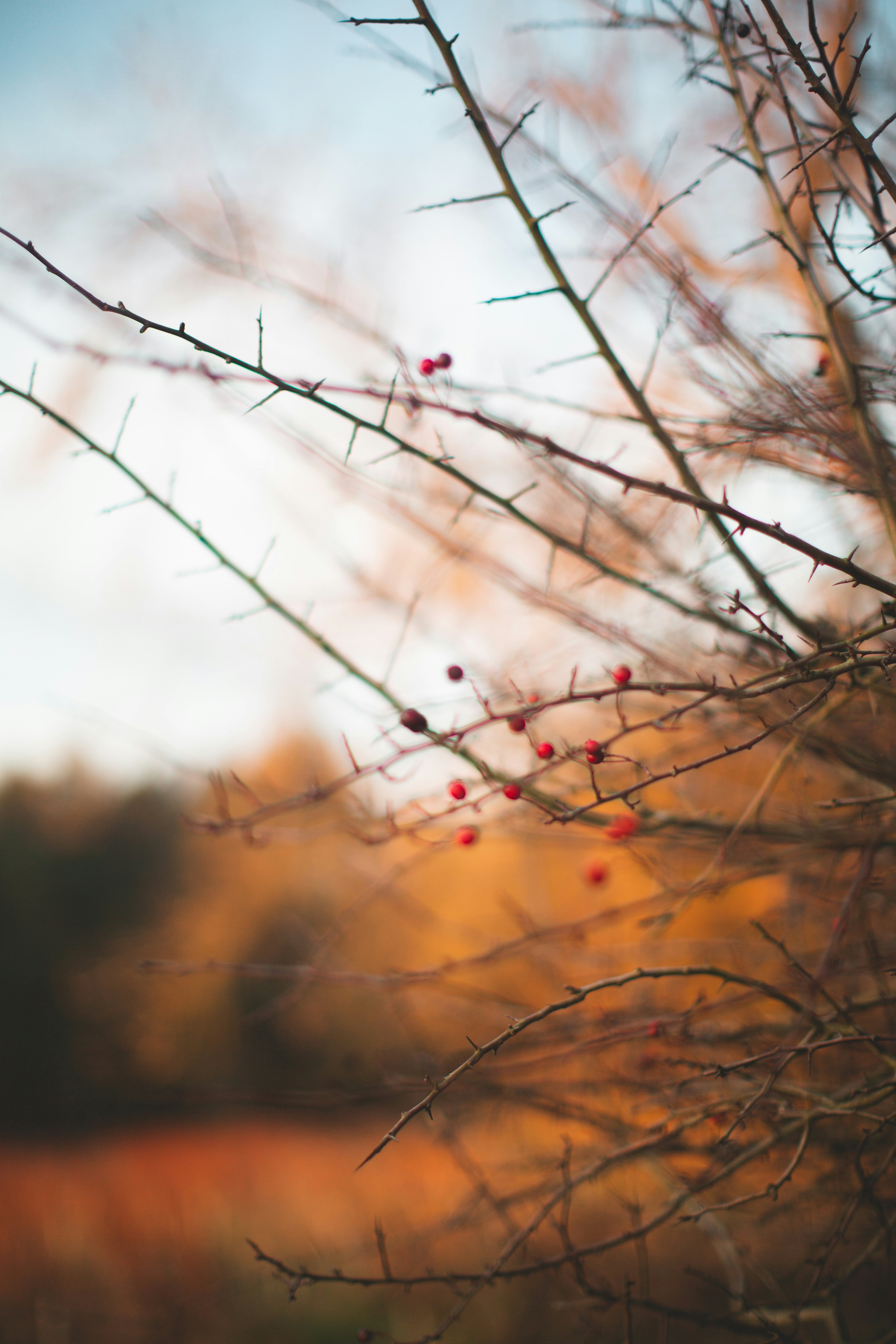 Photo by domheartley