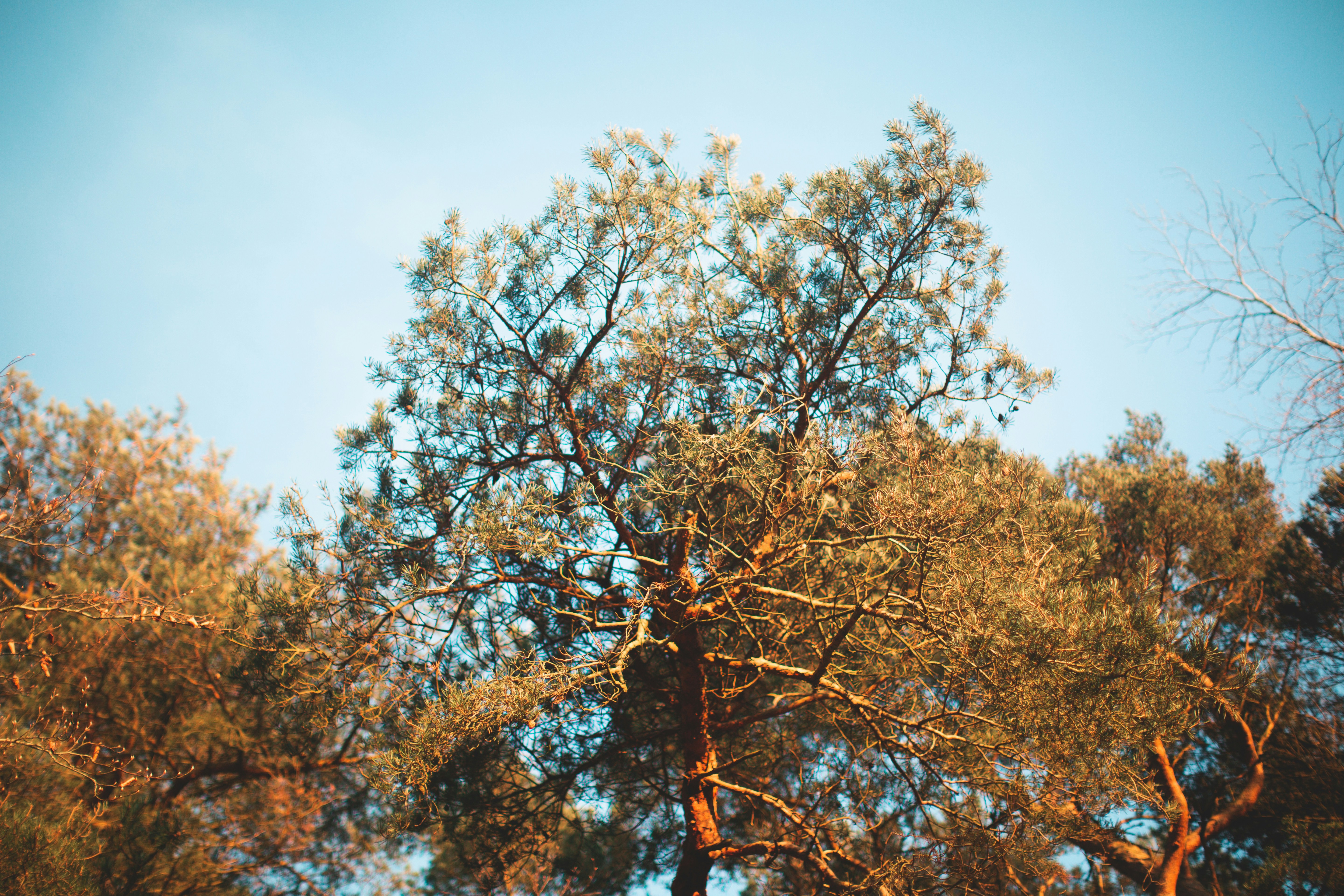 Photo by domheartley