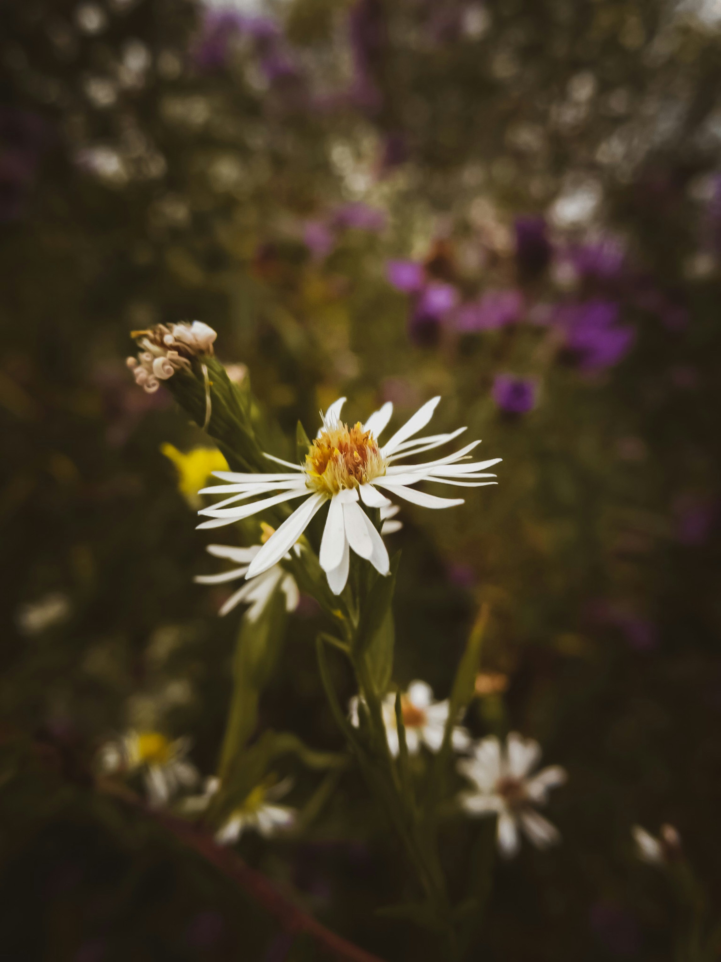 Photo by hlaurphotography