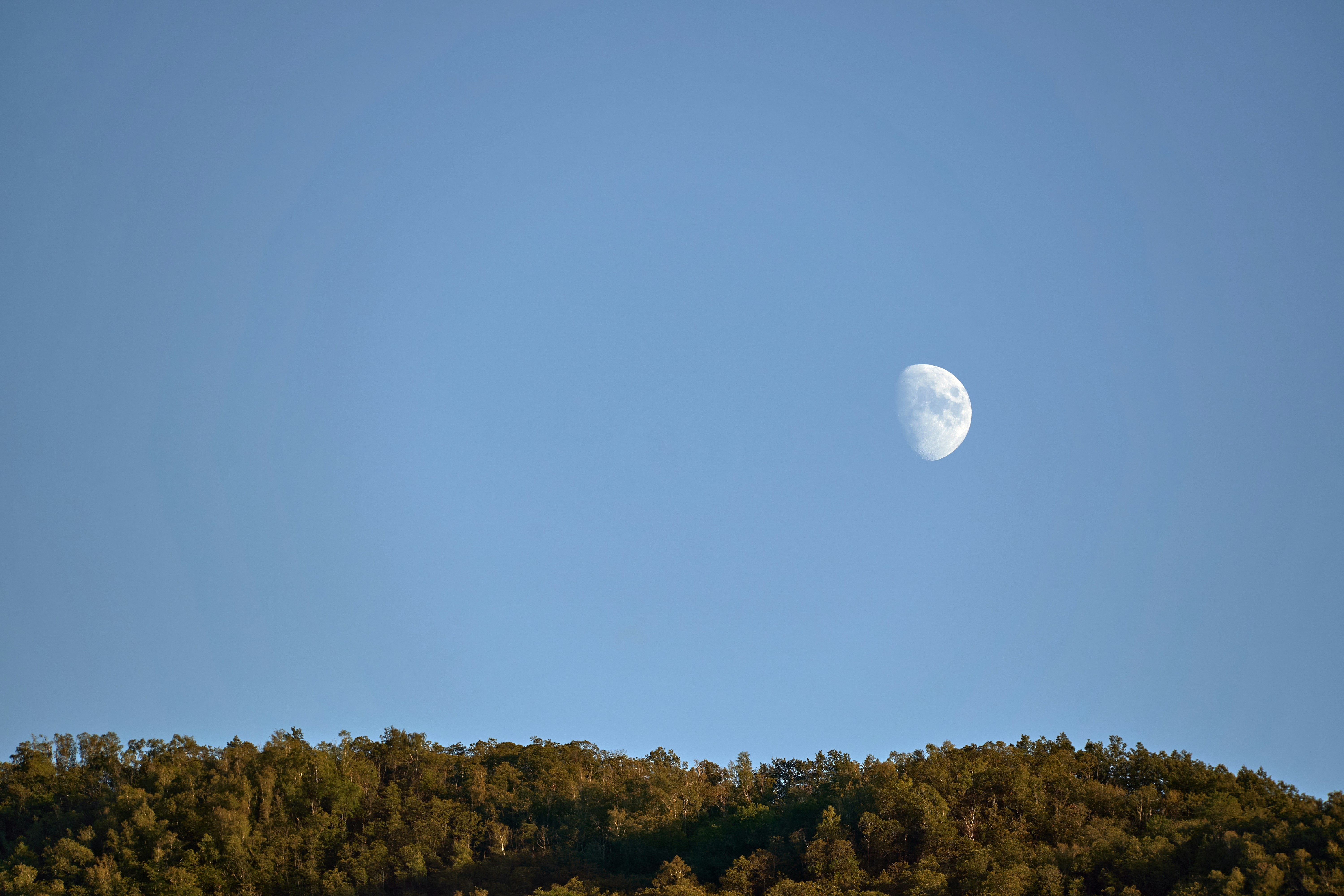 Photo by wolfgang_hasselmann