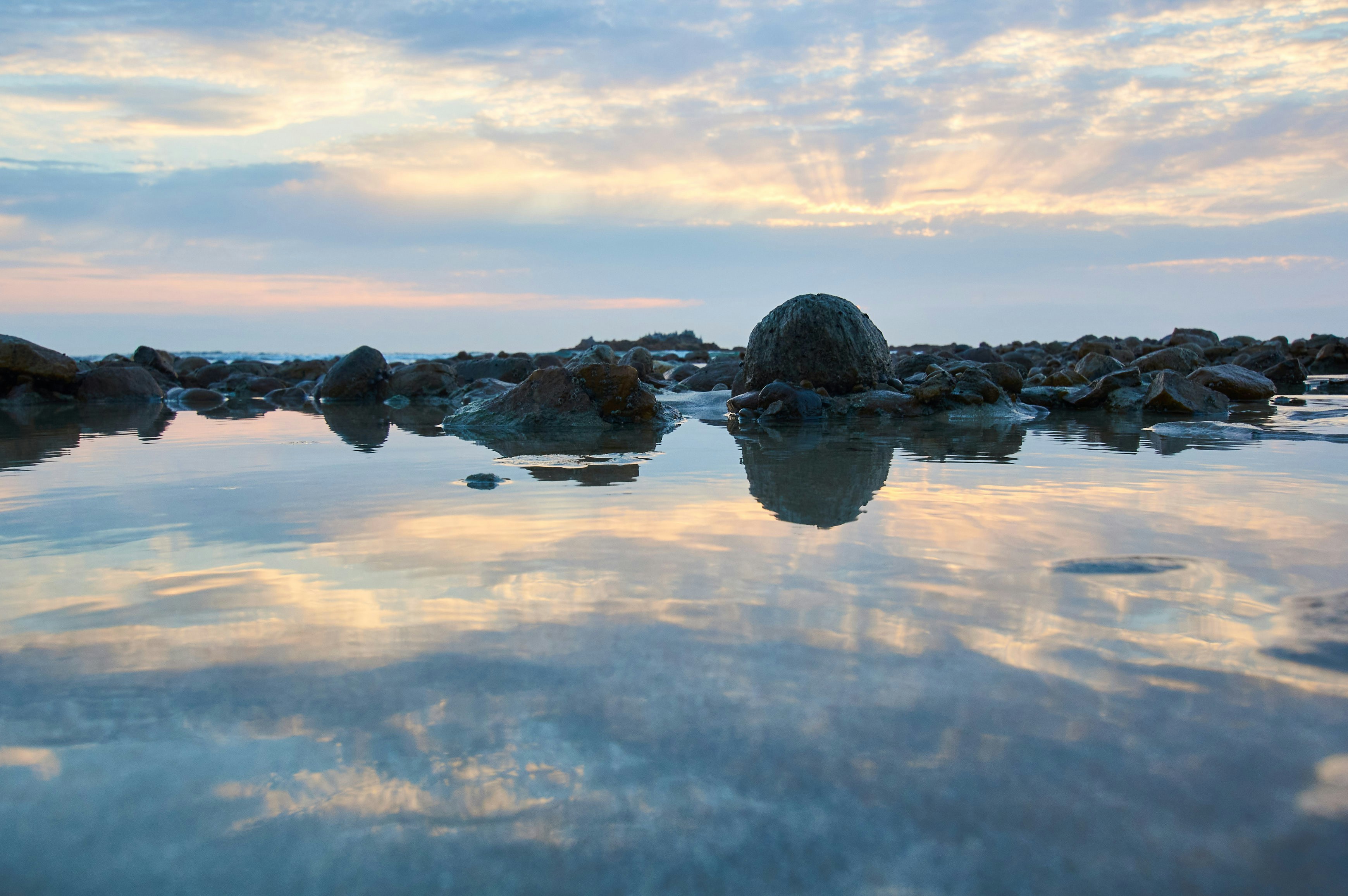 Photo by wolfgang_hasselmann