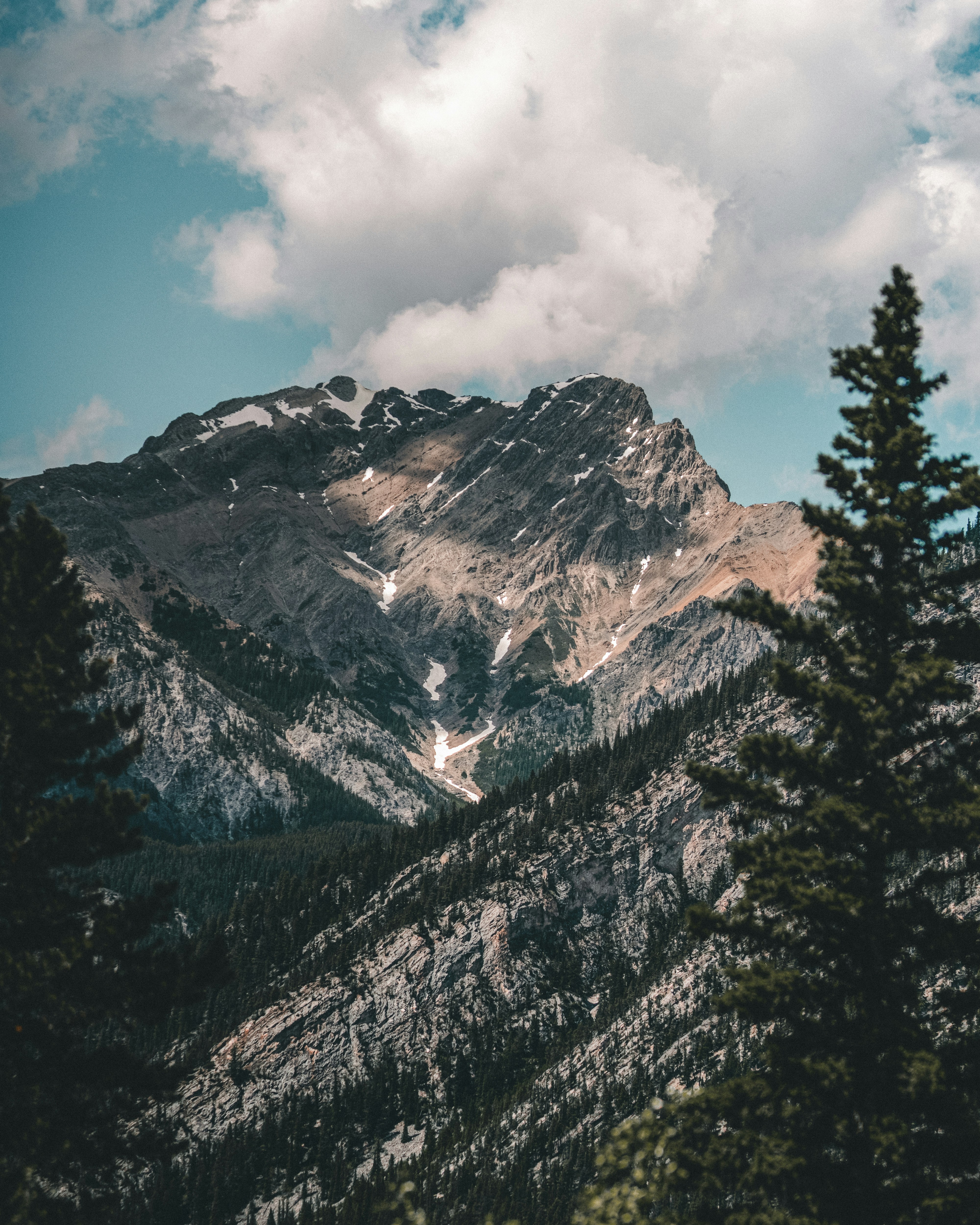 Photo by tfrankcreations