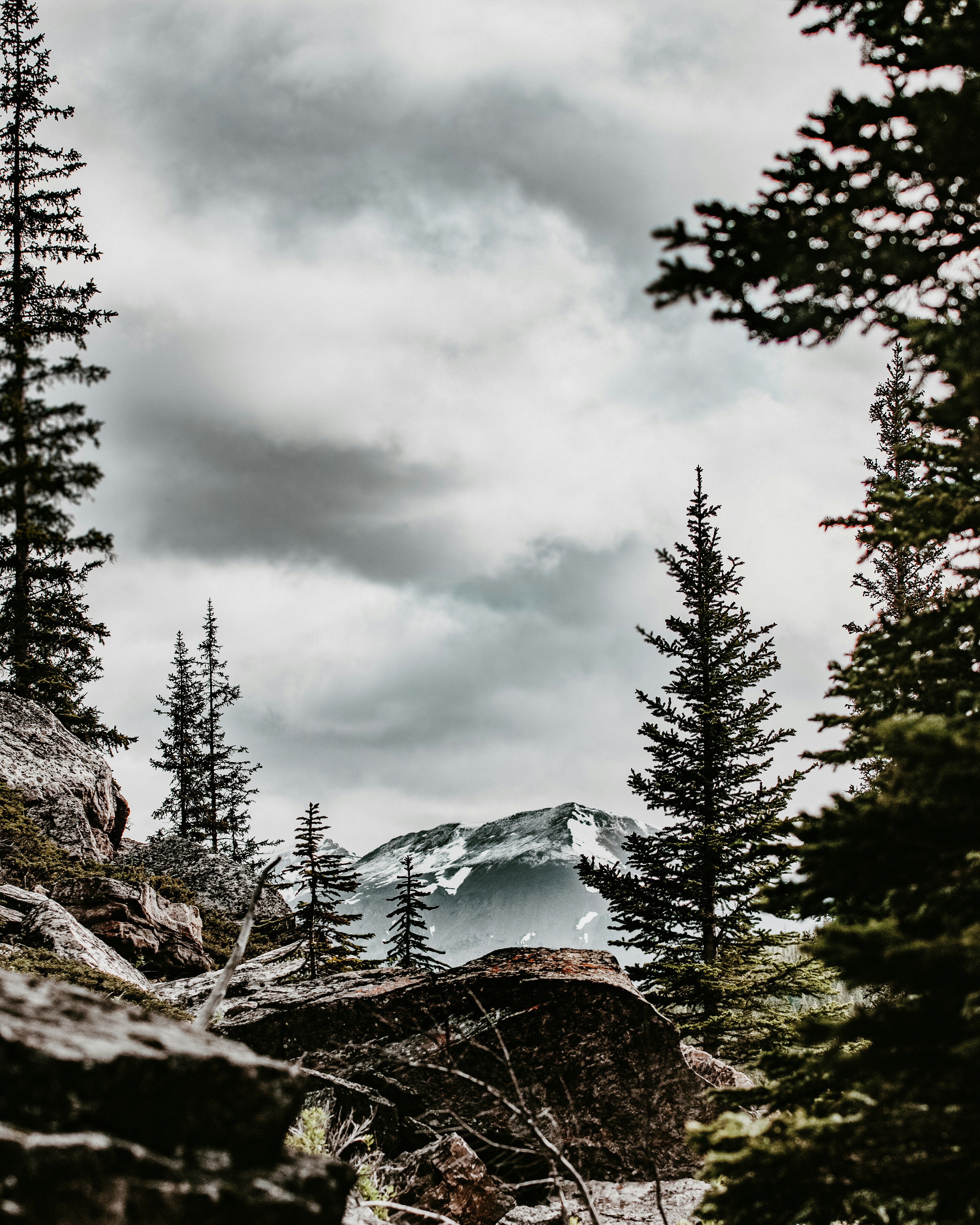 Photo by tfrankcreations