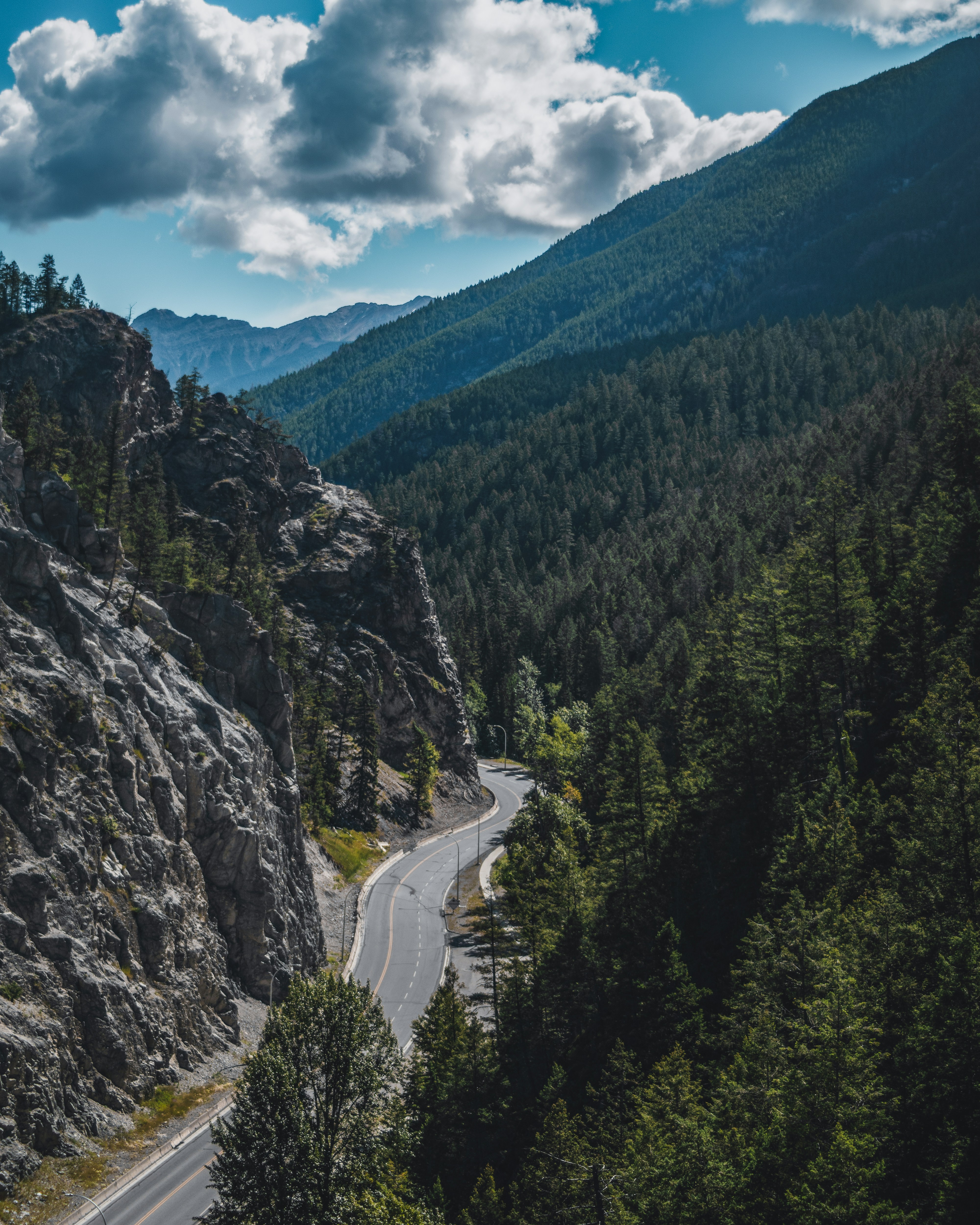 Photo by tfrankcreations