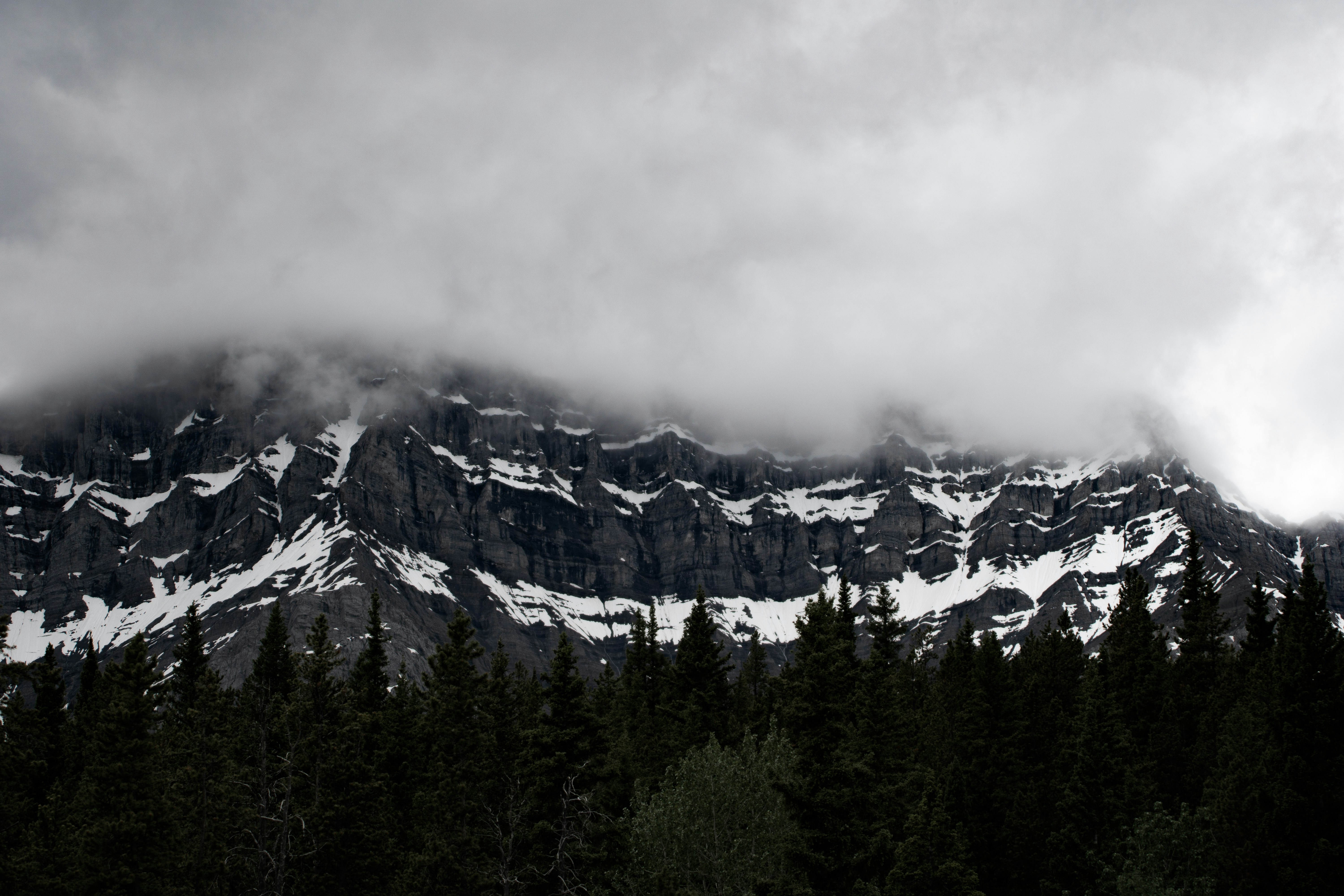 Photo by tfrankcreations