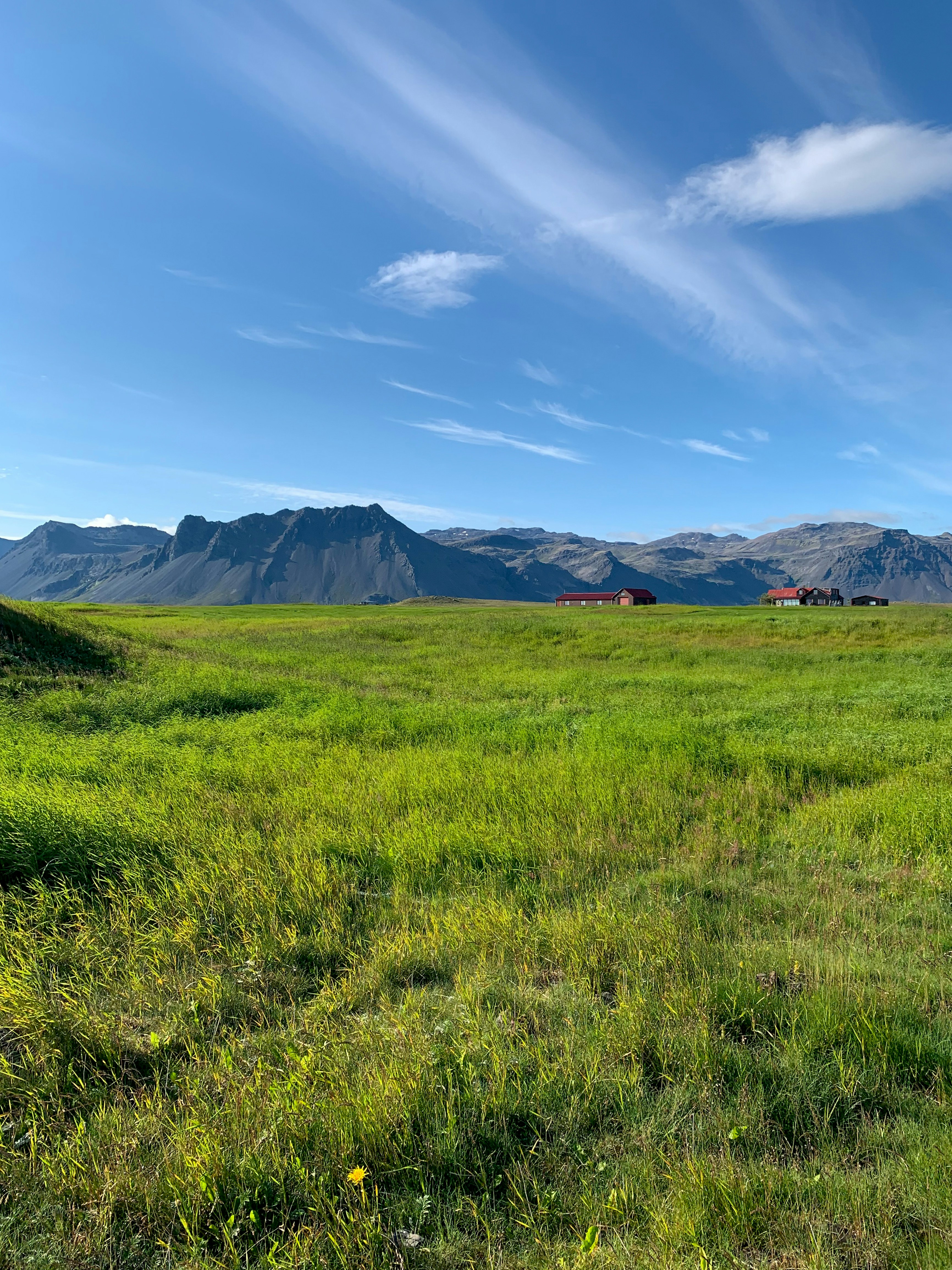 a grassy field with mountains in the background
