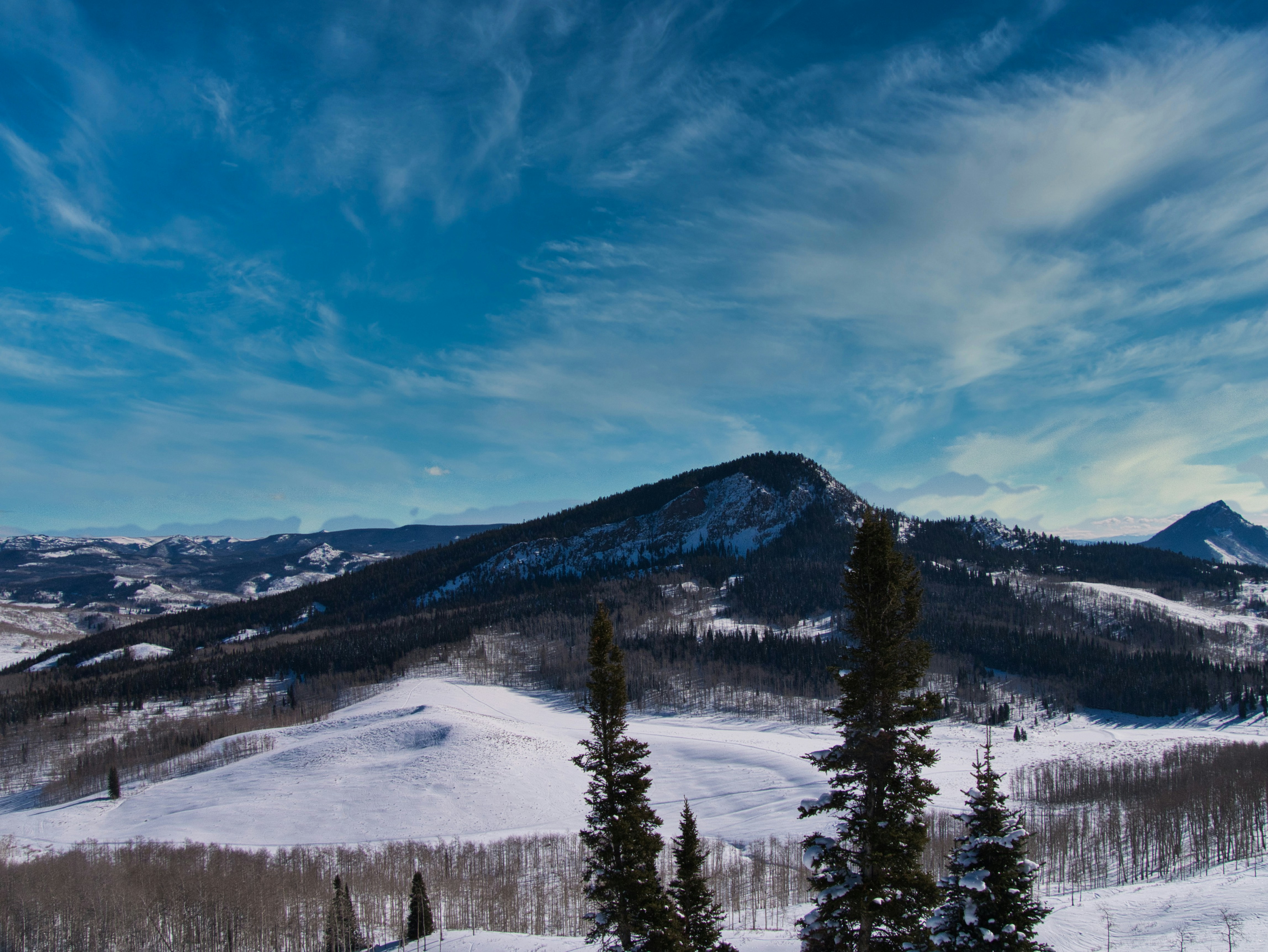 green pine trees on snow covered ground under blue sky during daytime, 