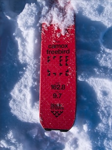 A red ski with the text 'camox freebird' covered partially with snow. The ski has specifications like 'length 162.8' and 'width 9.7' printed on it, along with the 'black crows' logo.
