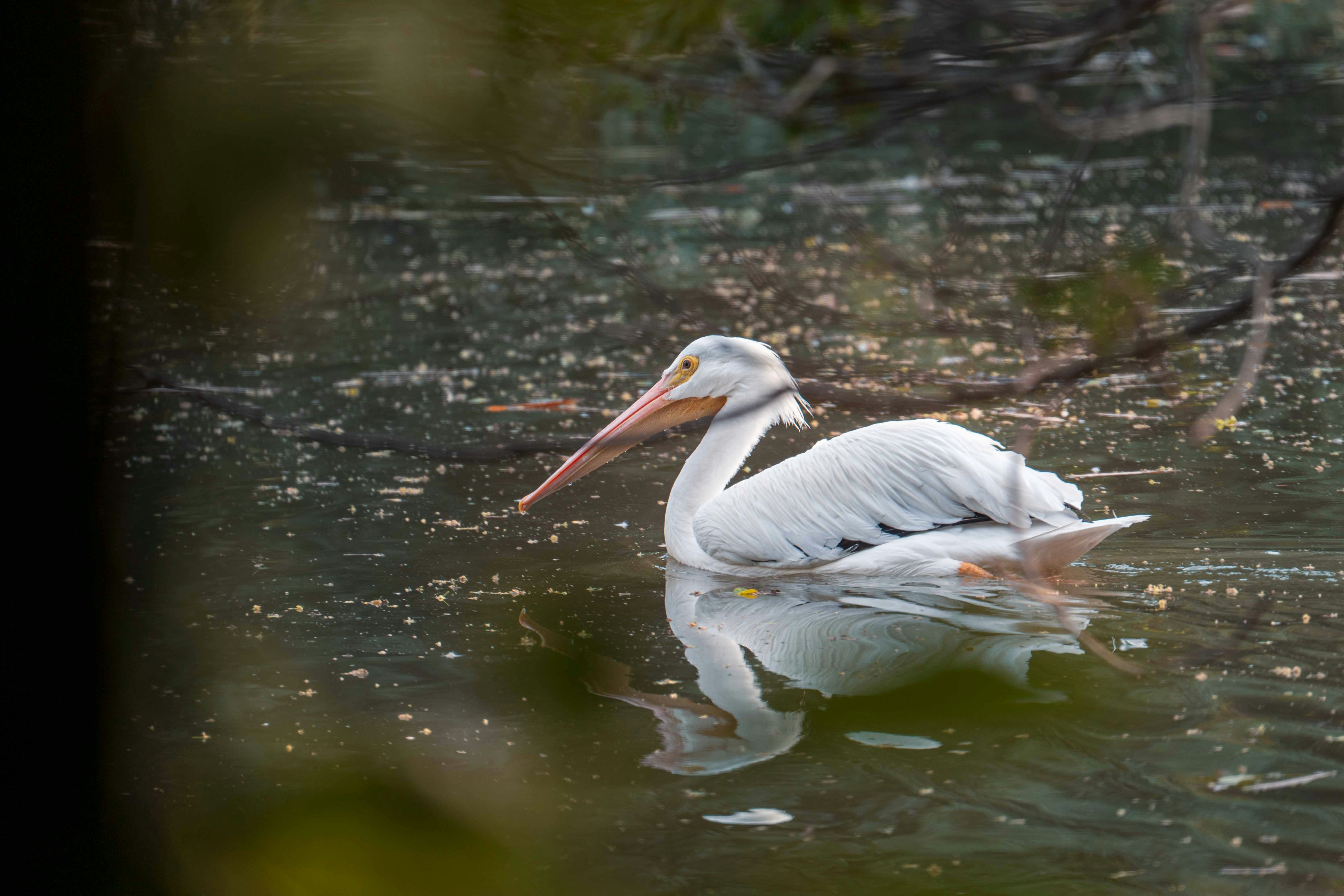 Photo by annastampfli