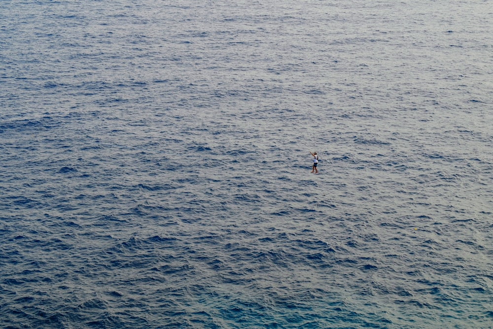 2 people in body of water during daytime