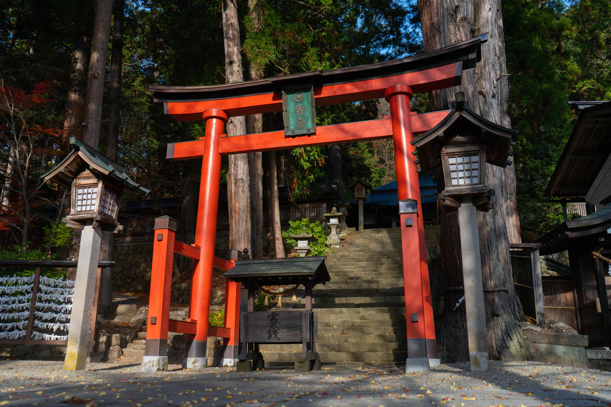 Hikawa Shrine torii path