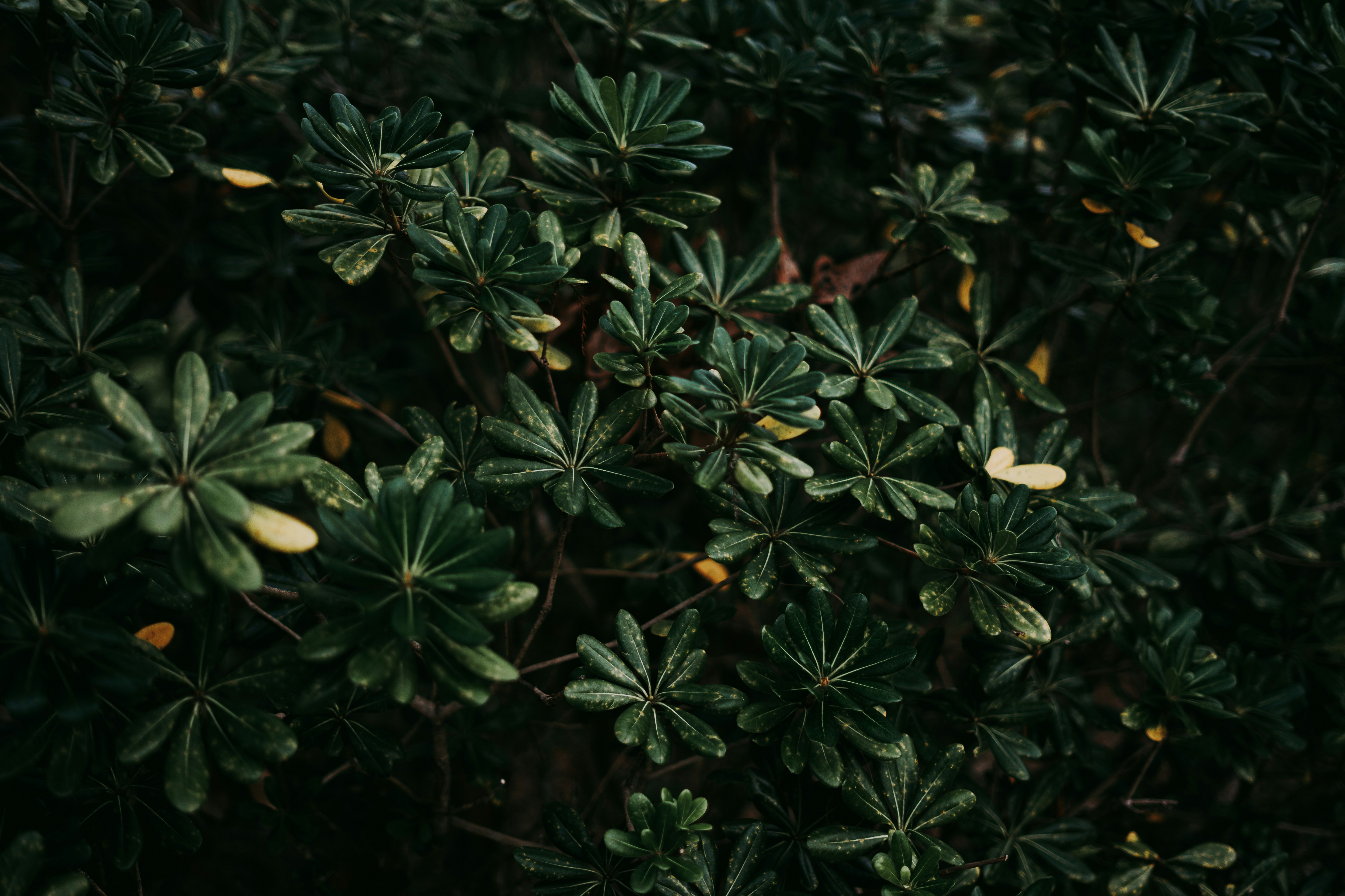 Photo by marcusurbenz