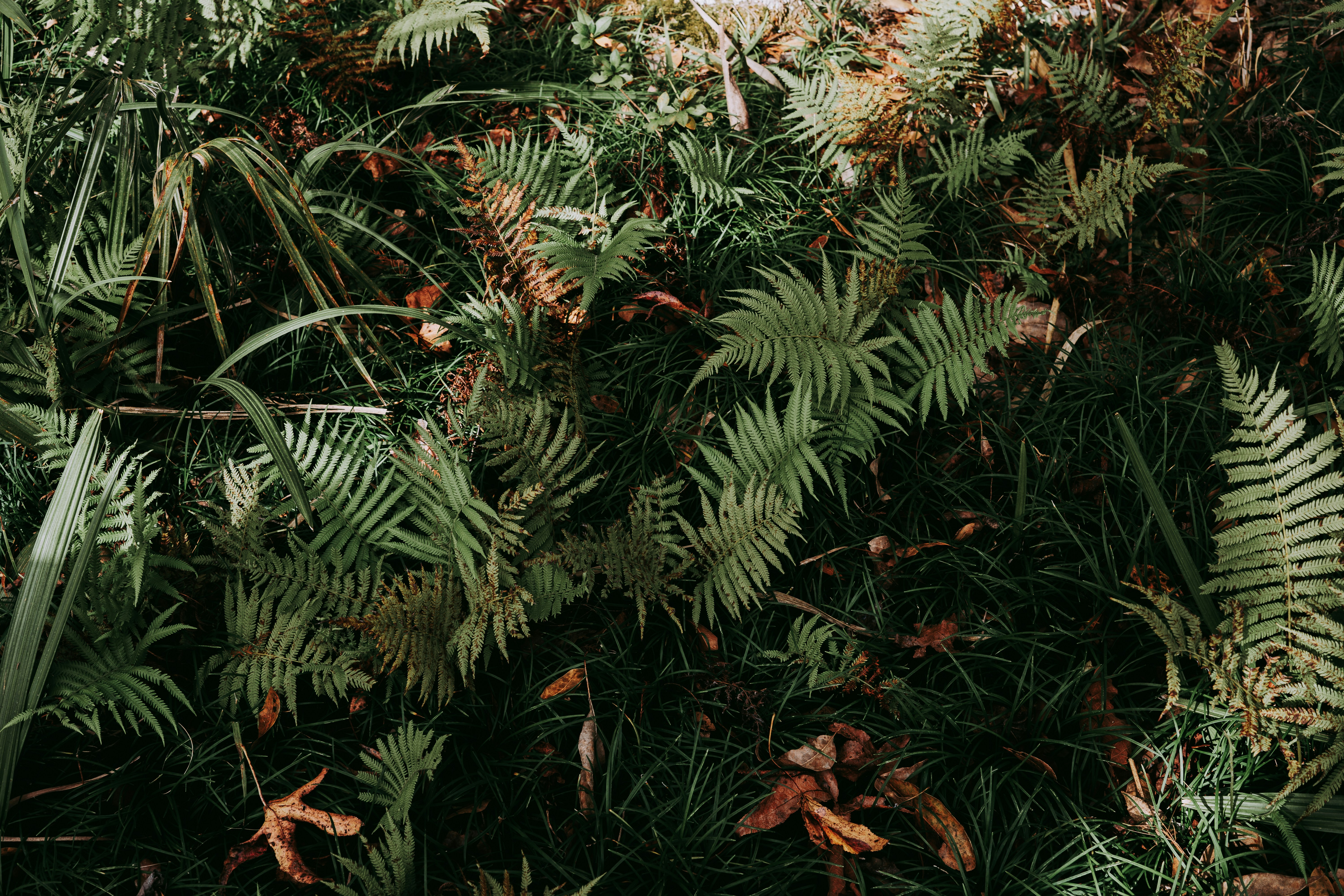 Photo by marcusurbenz