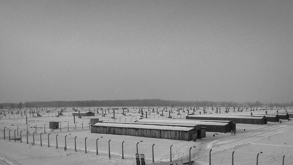 grayscale photo of body of water near bridge