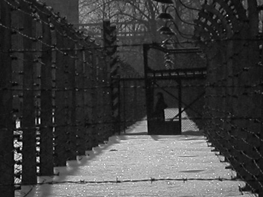 grayscale photo of pathway between trees