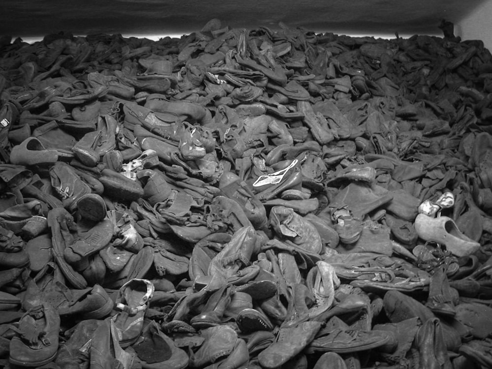 grayscale photo of dried leaves on the ground