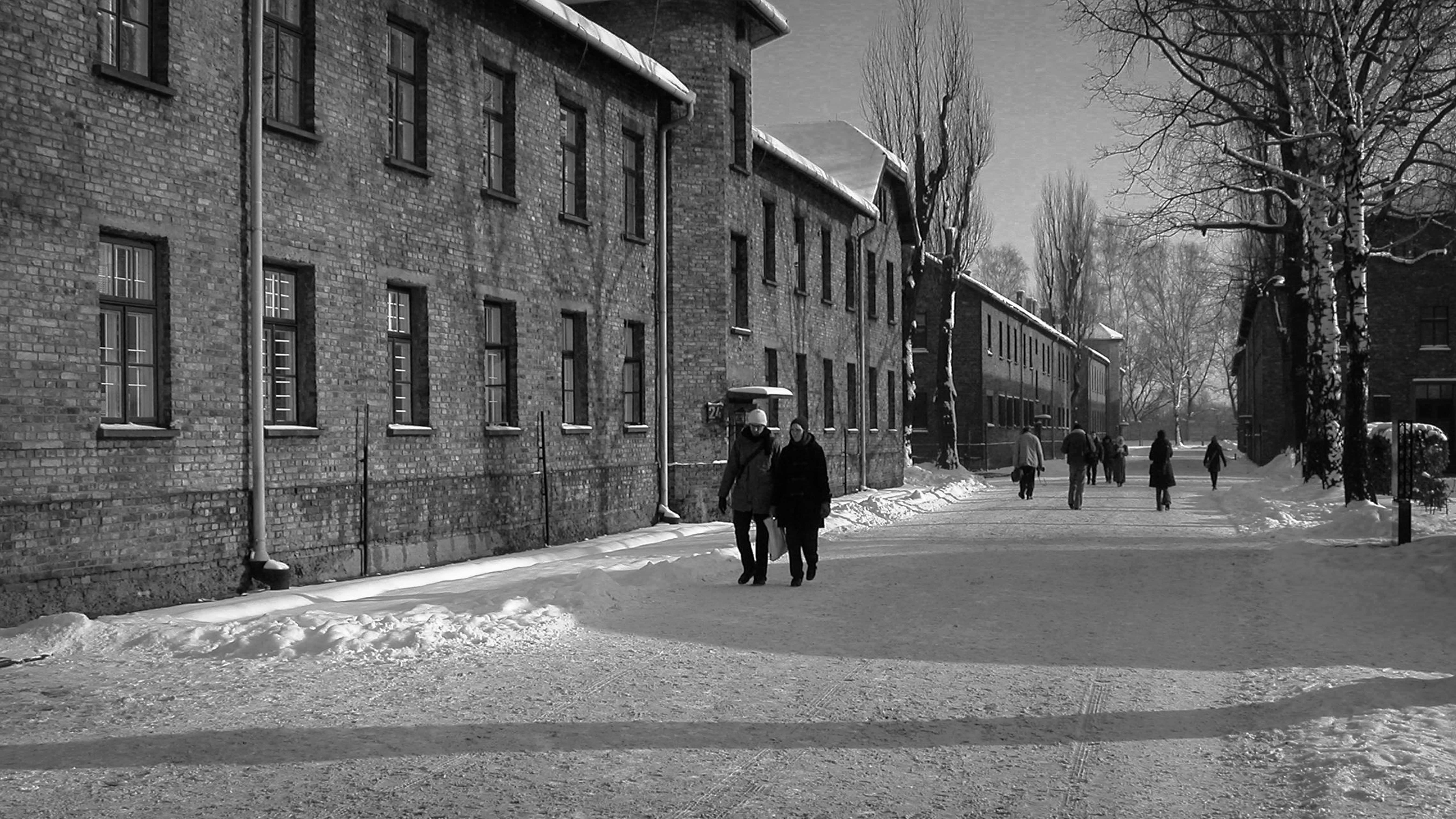 March of the Living Auschwitz Birkenau participants walking