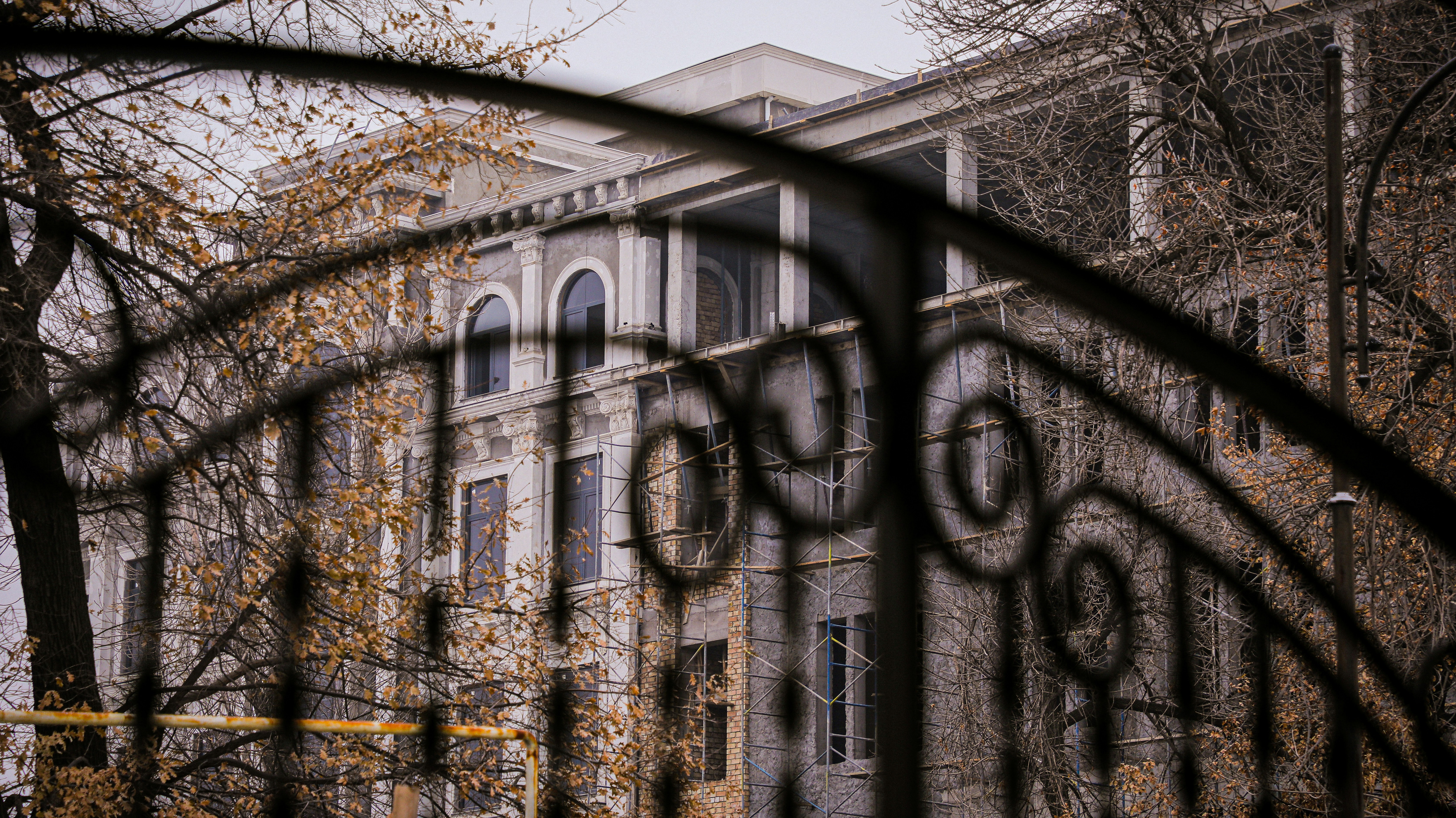 bare tree in front of building