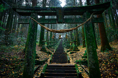 brown wooden bridge in the woods
