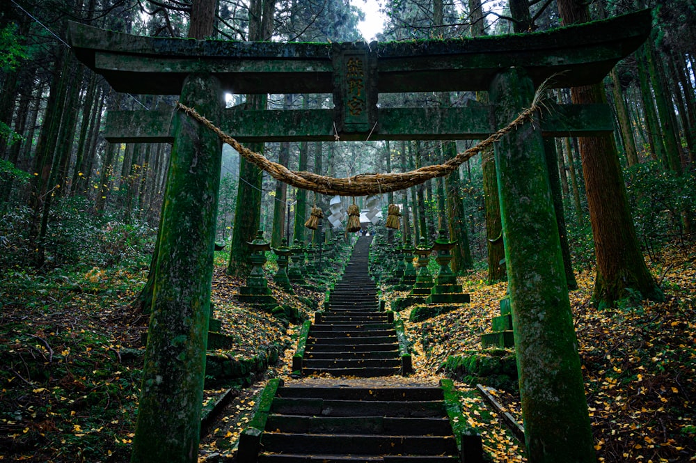 Puente de madera marrón en el bosque