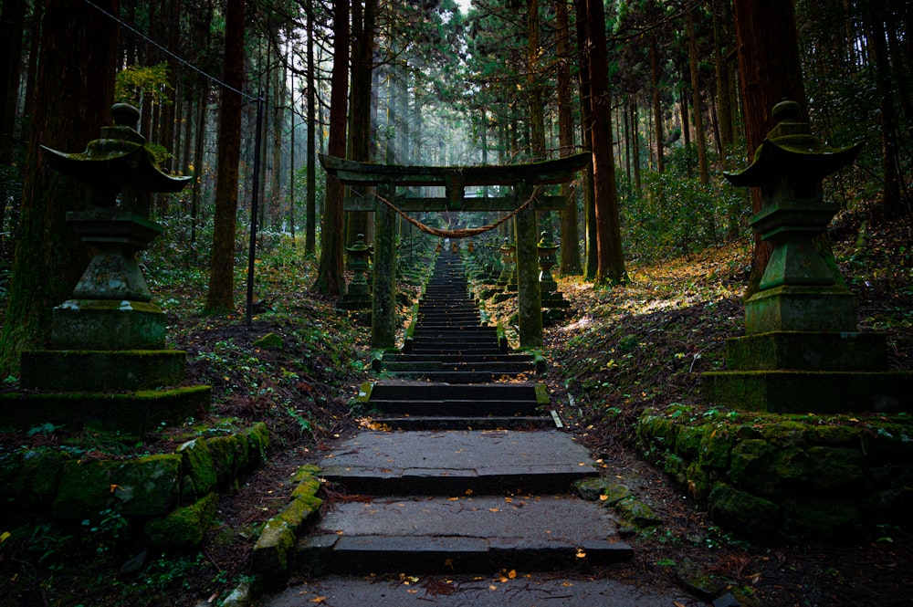 brown wooden bridge in the woods