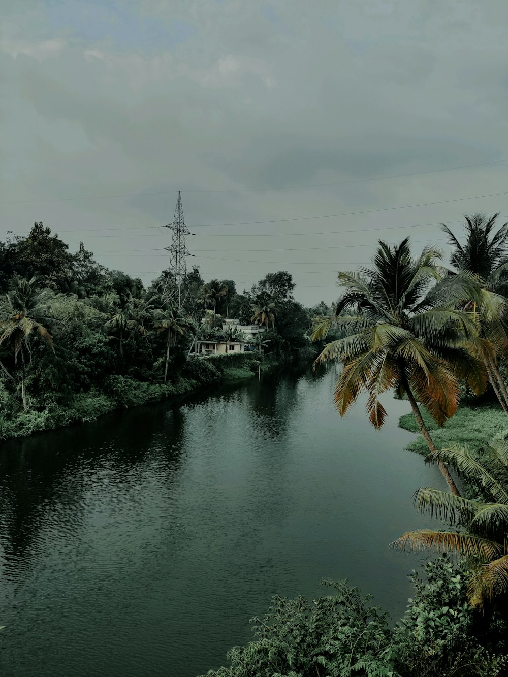 green trees beside river under cloudy sky during daytime