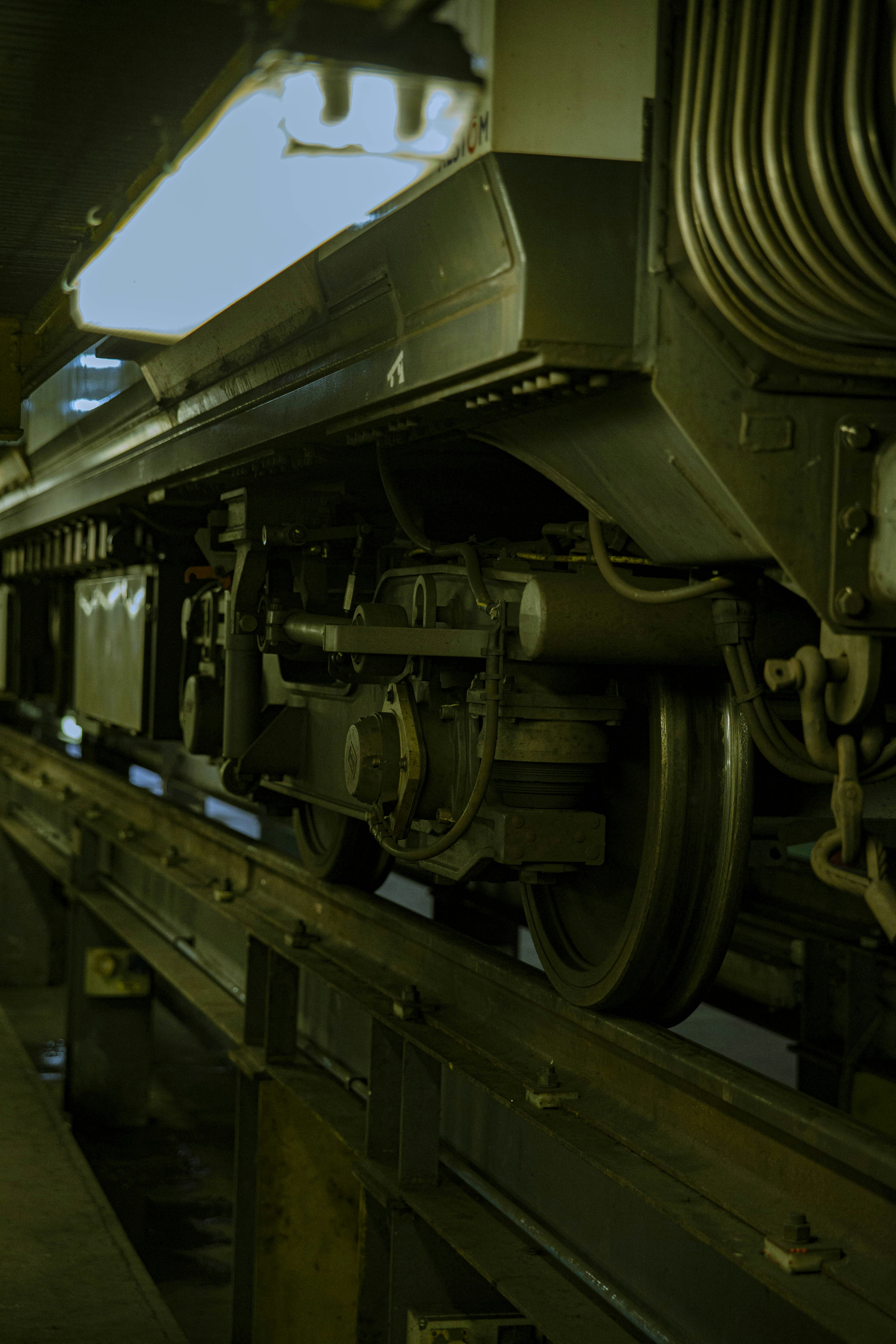 Photo by ruddycorporanx